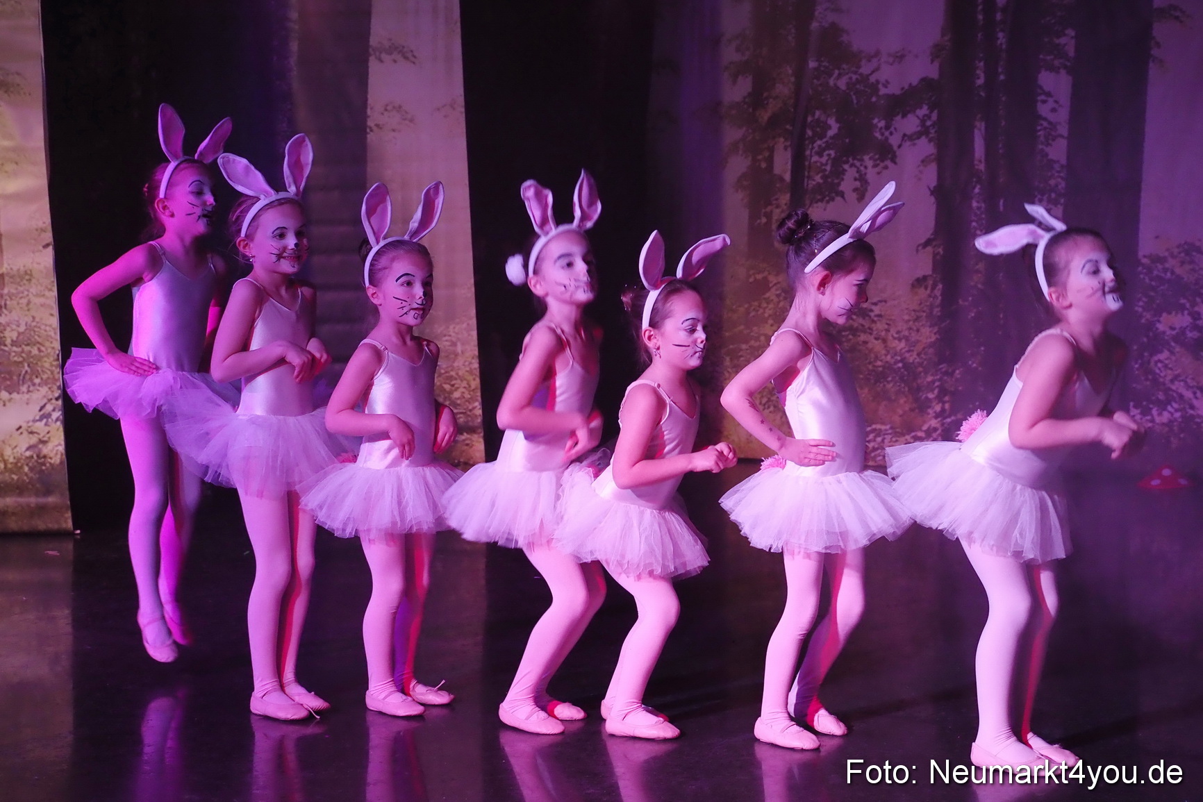 Haensel und Gretel Artico 180317 0034