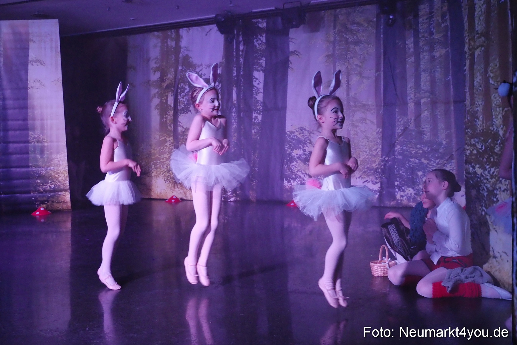 Haensel und Gretel Artico 180317 0035