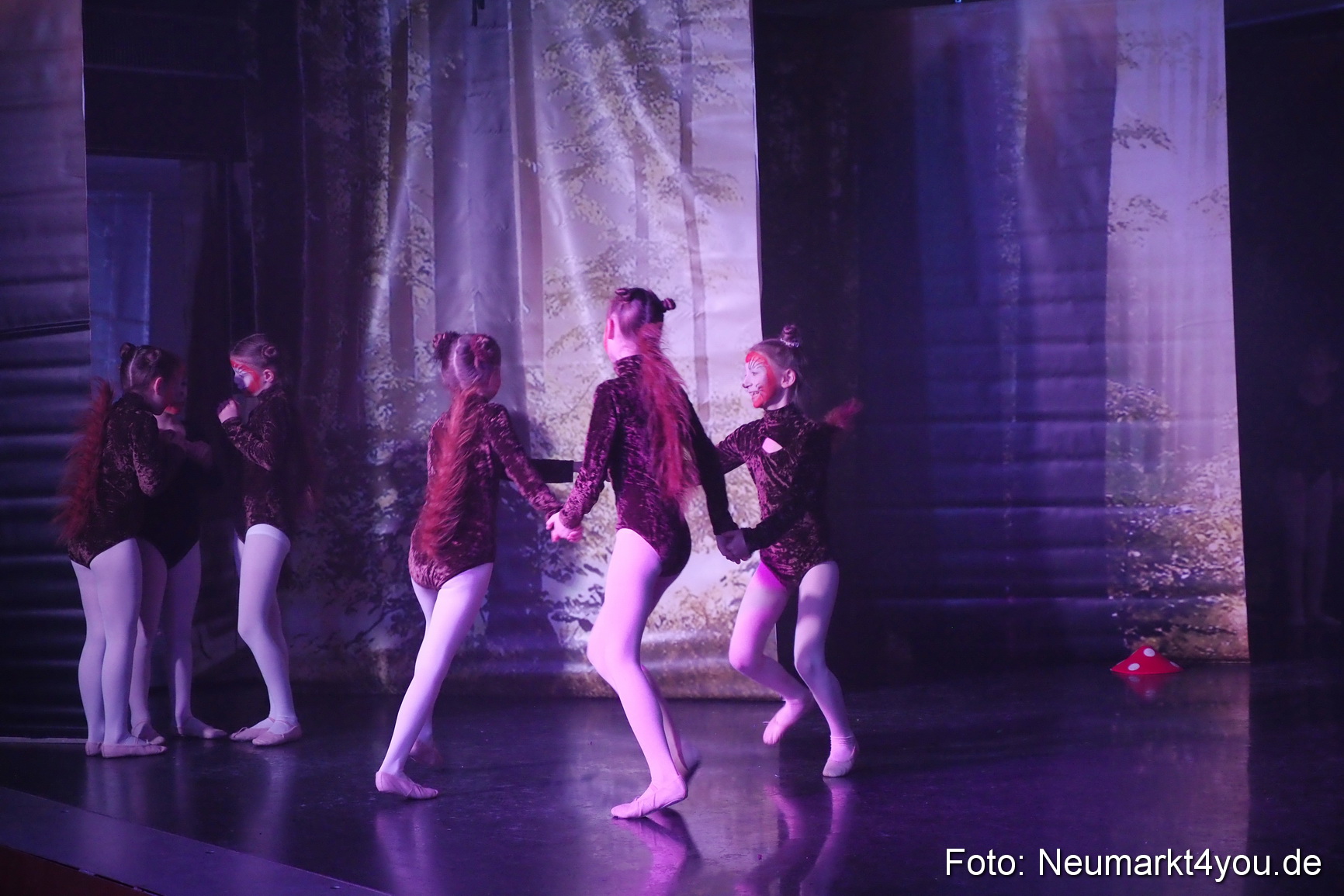 Haensel und Gretel Artico 180317 0037