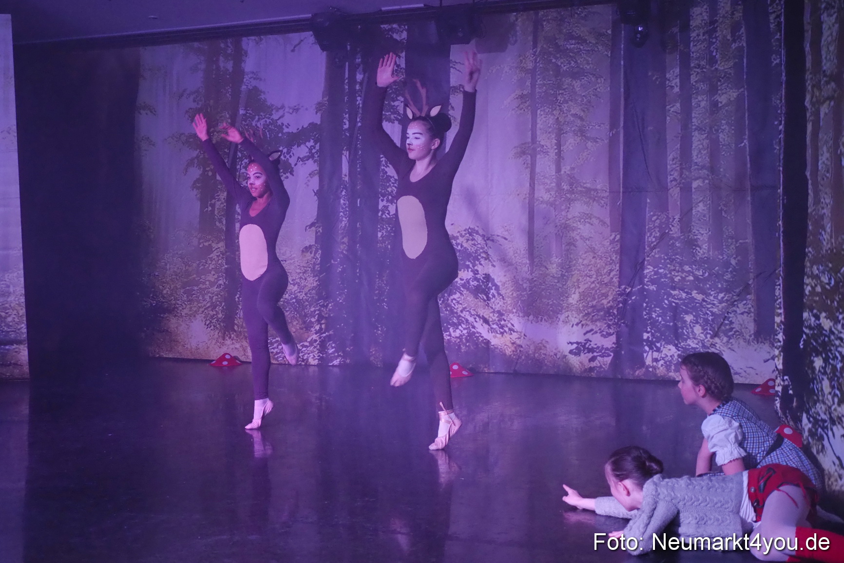 Haensel und Gretel Artico 180317 0044