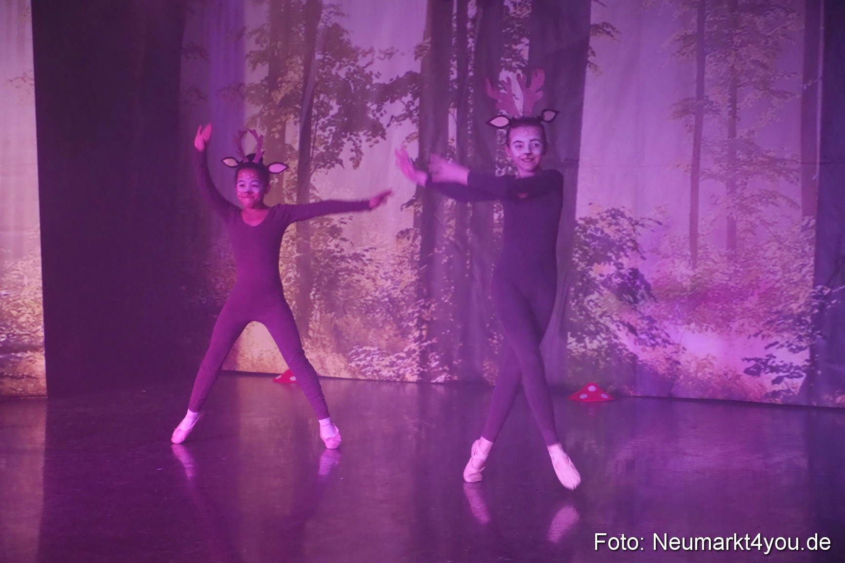 Haensel und Gretel Artico 180317 0045