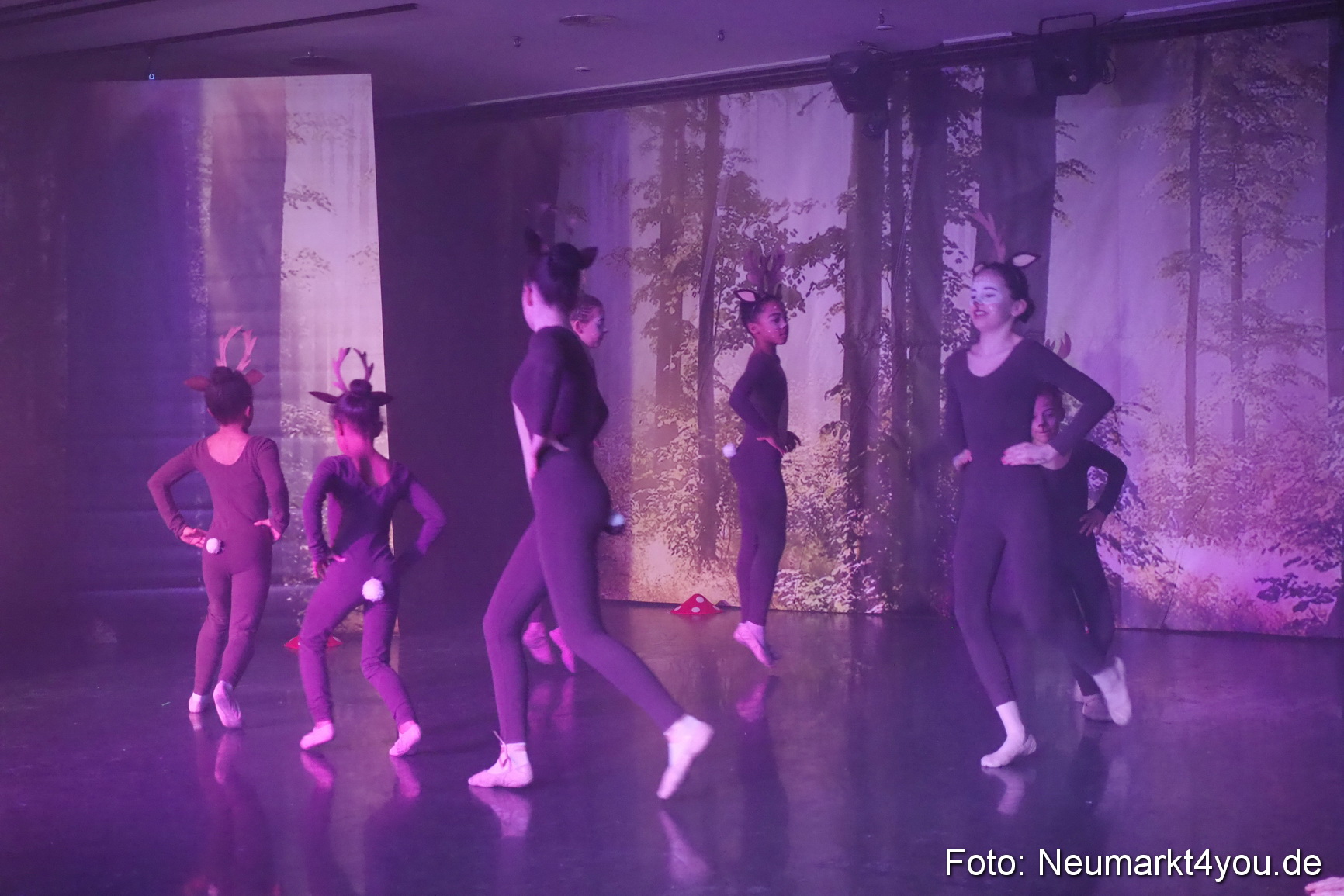 Haensel und Gretel Artico 180317 0046