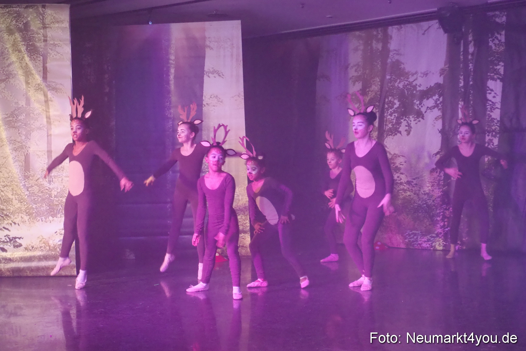 Haensel und Gretel Artico 180317 0047