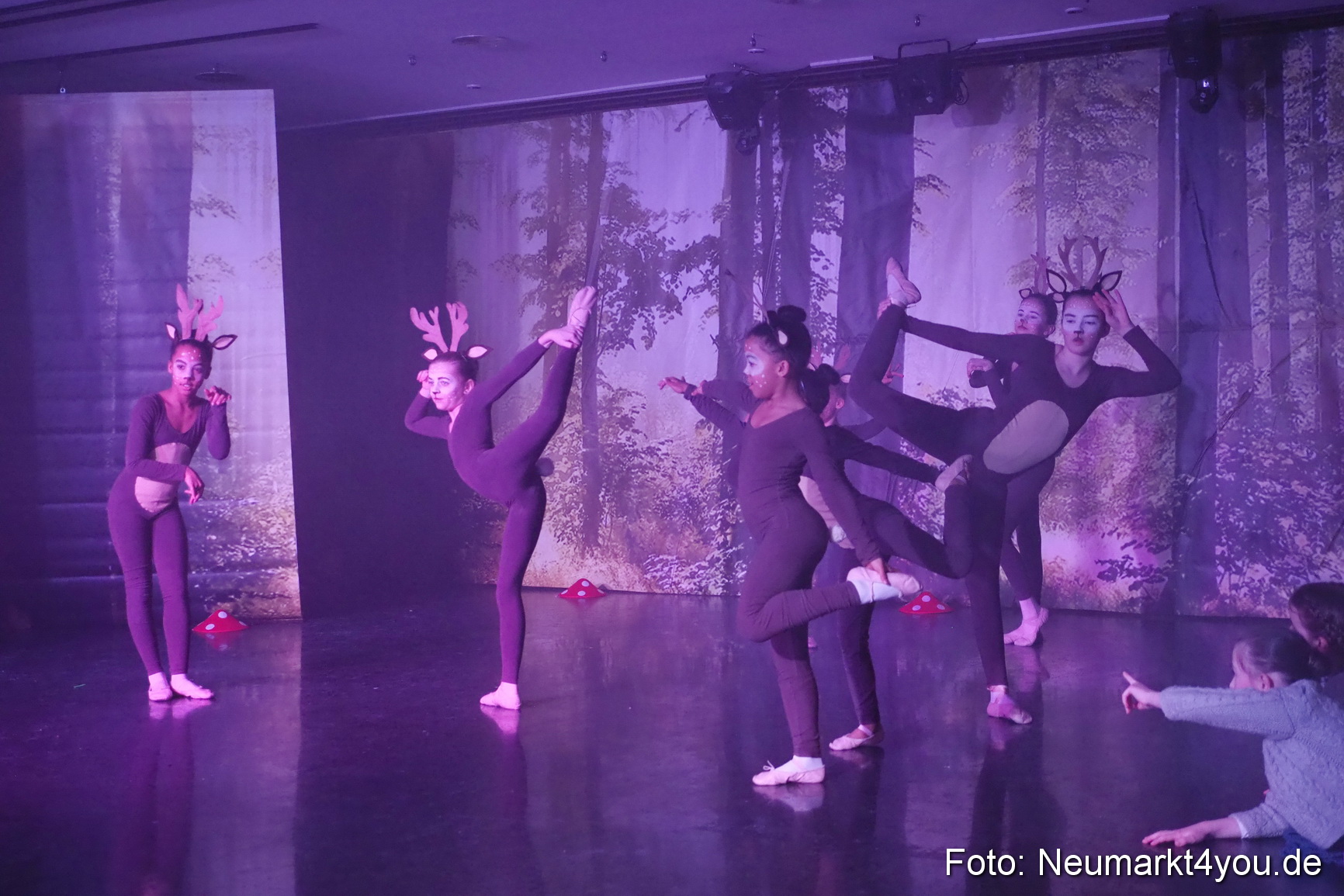 Haensel und Gretel Artico 180317 0049