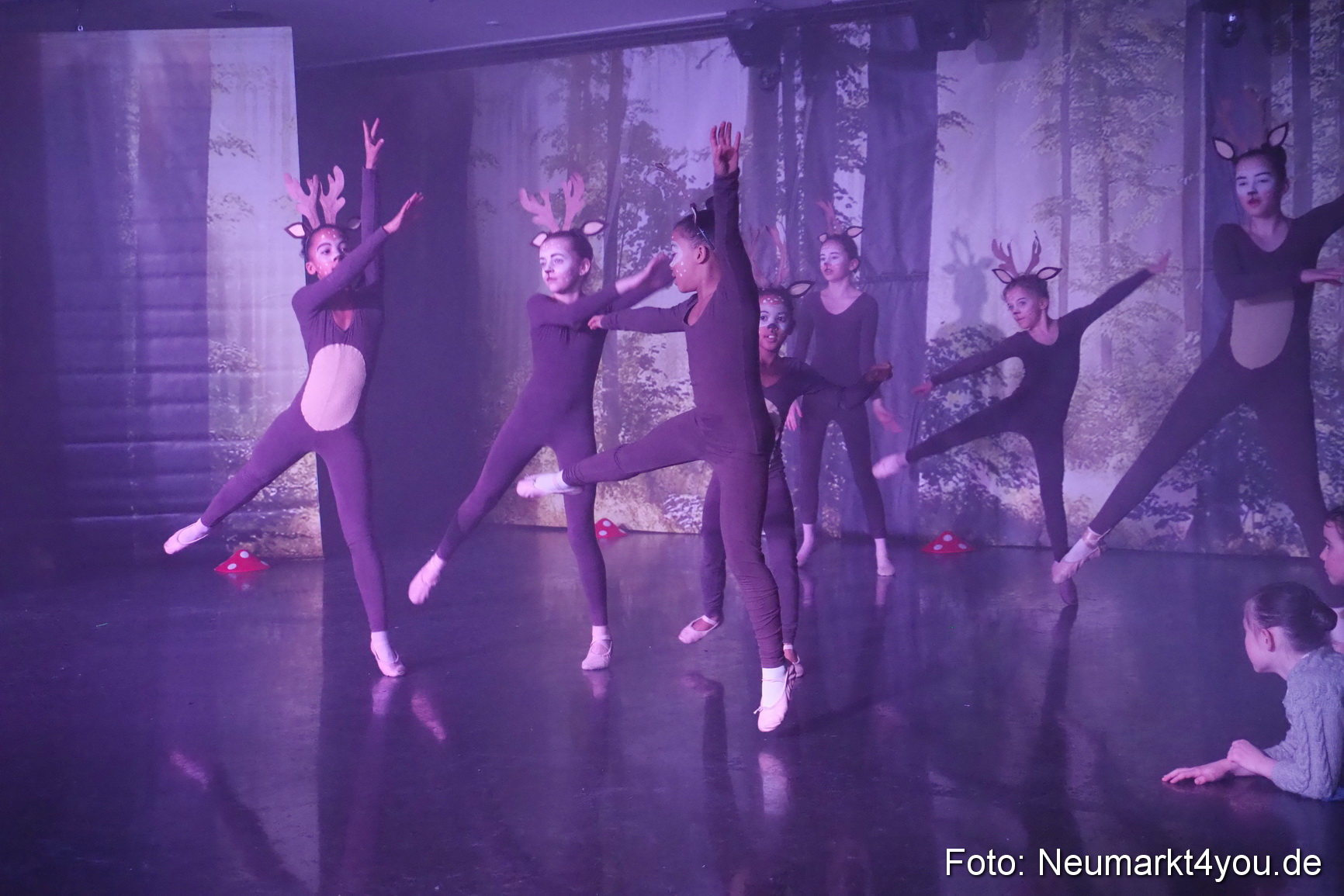 Haensel und Gretel Artico 180317 0050