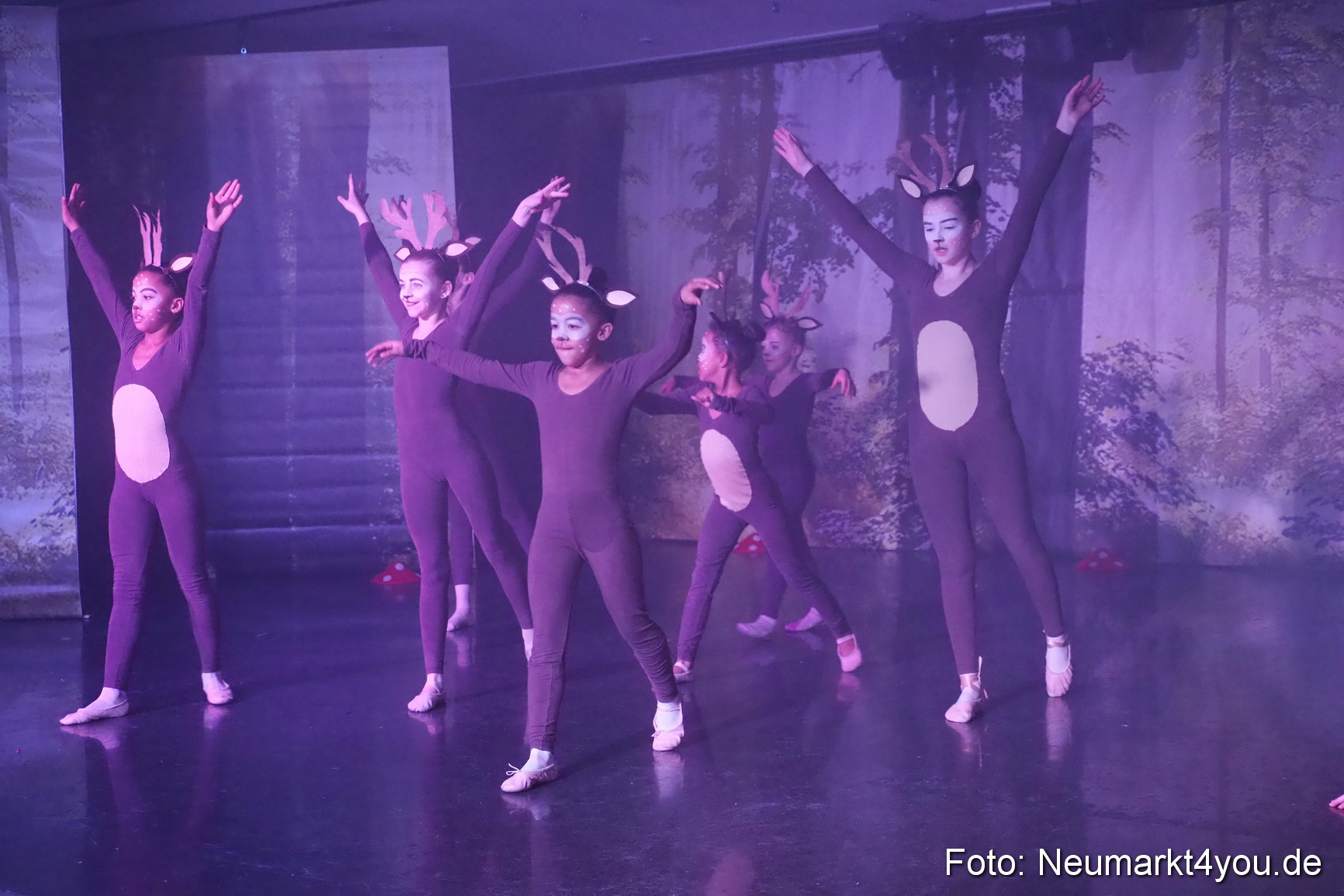 Haensel und Gretel Artico 180317 0051