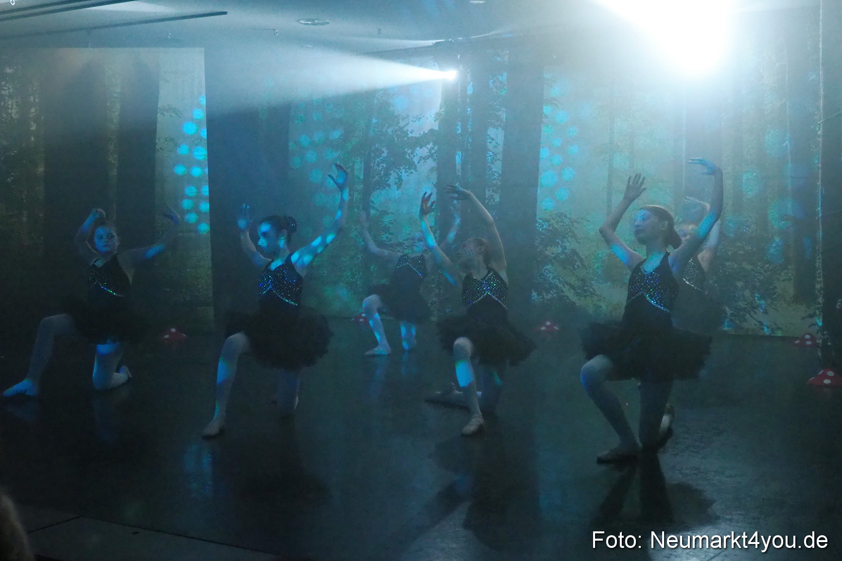 Haensel und Gretel Artico 180317 0054