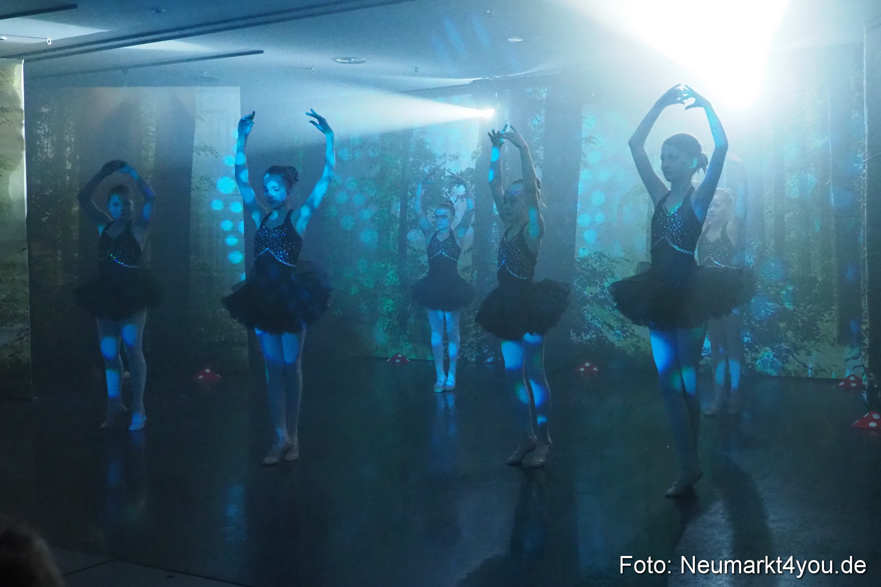 Haensel und Gretel Artico 180317 0055