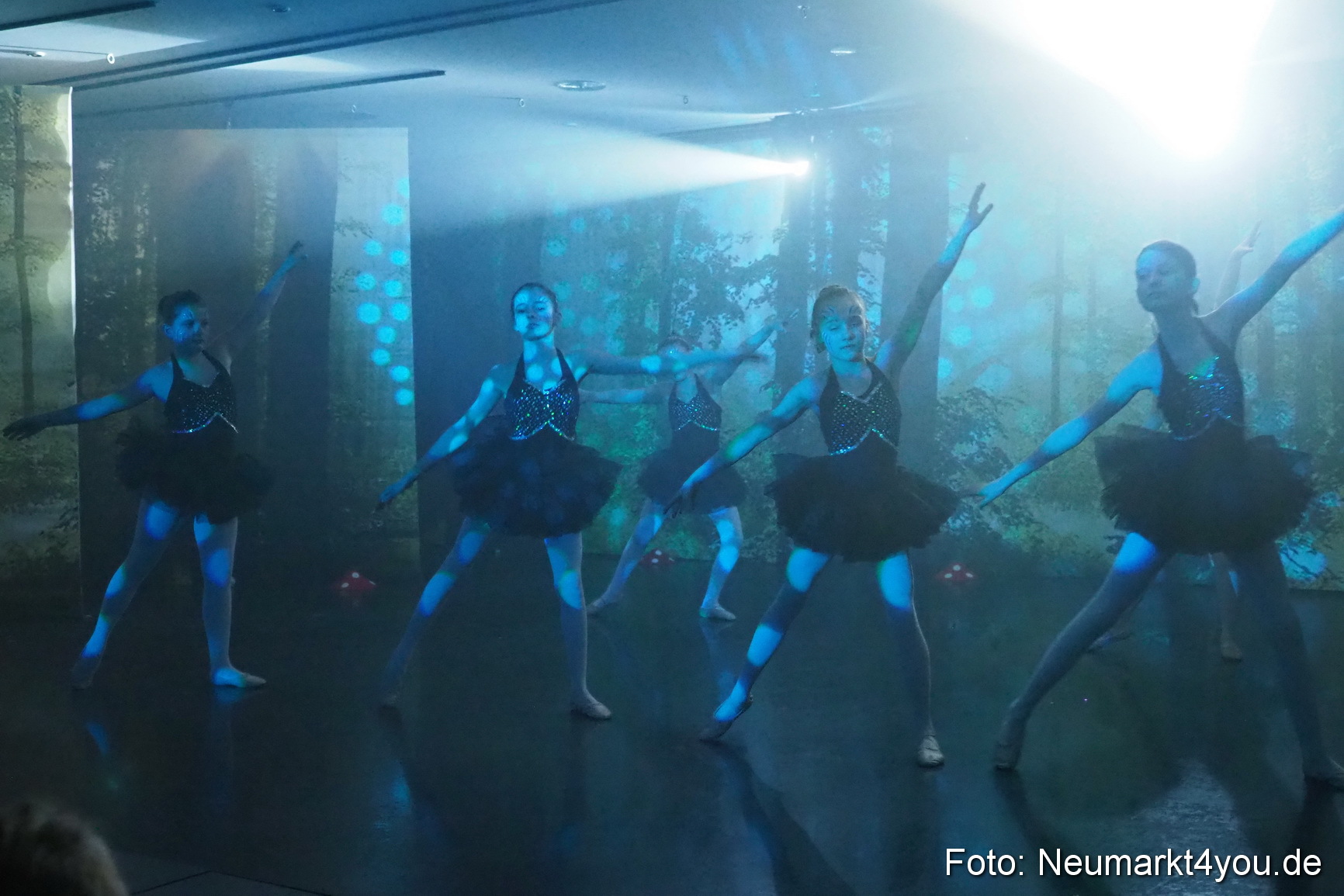 Haensel und Gretel Artico 180317 0056