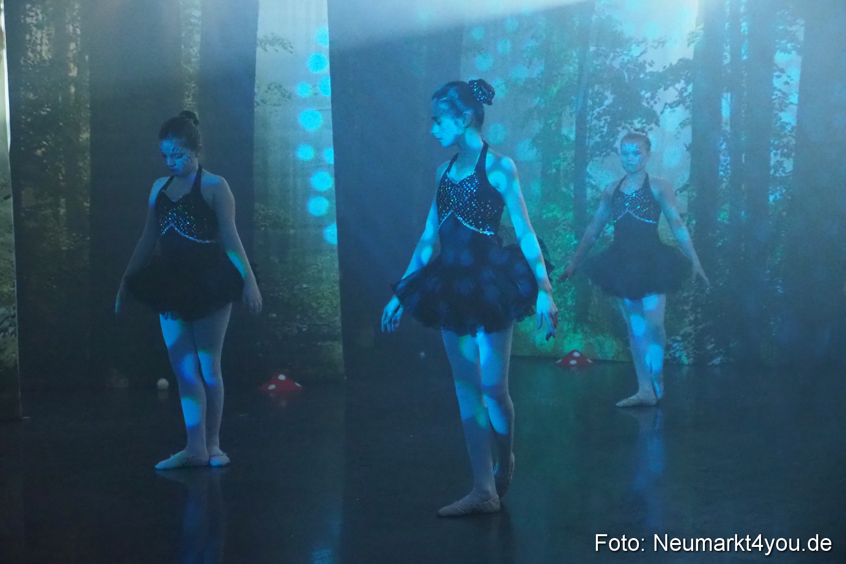 Haensel und Gretel Artico 180317 0057