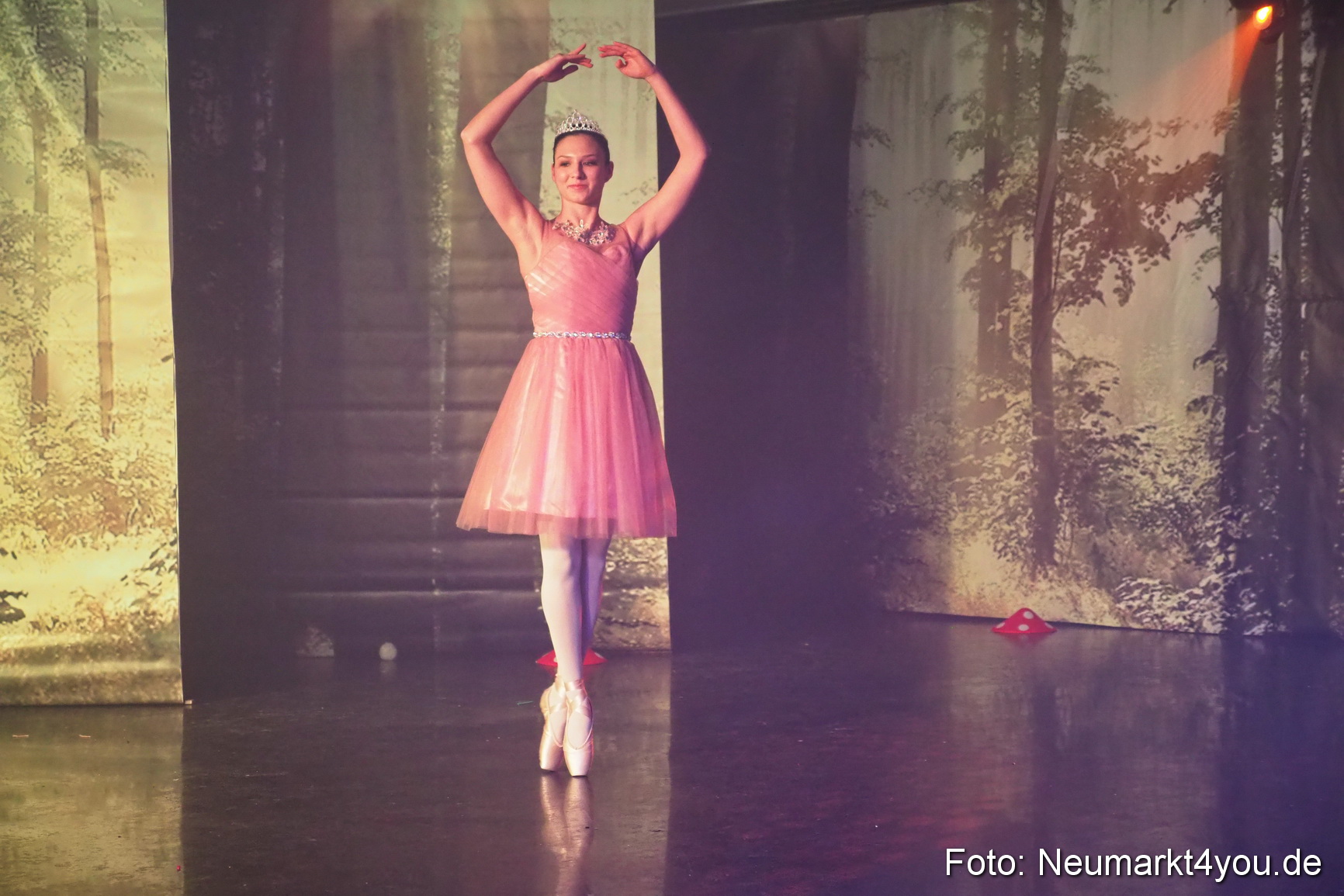 Haensel und Gretel Artico 180317 0059