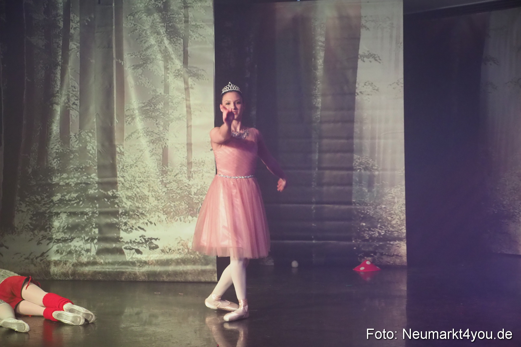 Haensel und Gretel Artico 180317 0060