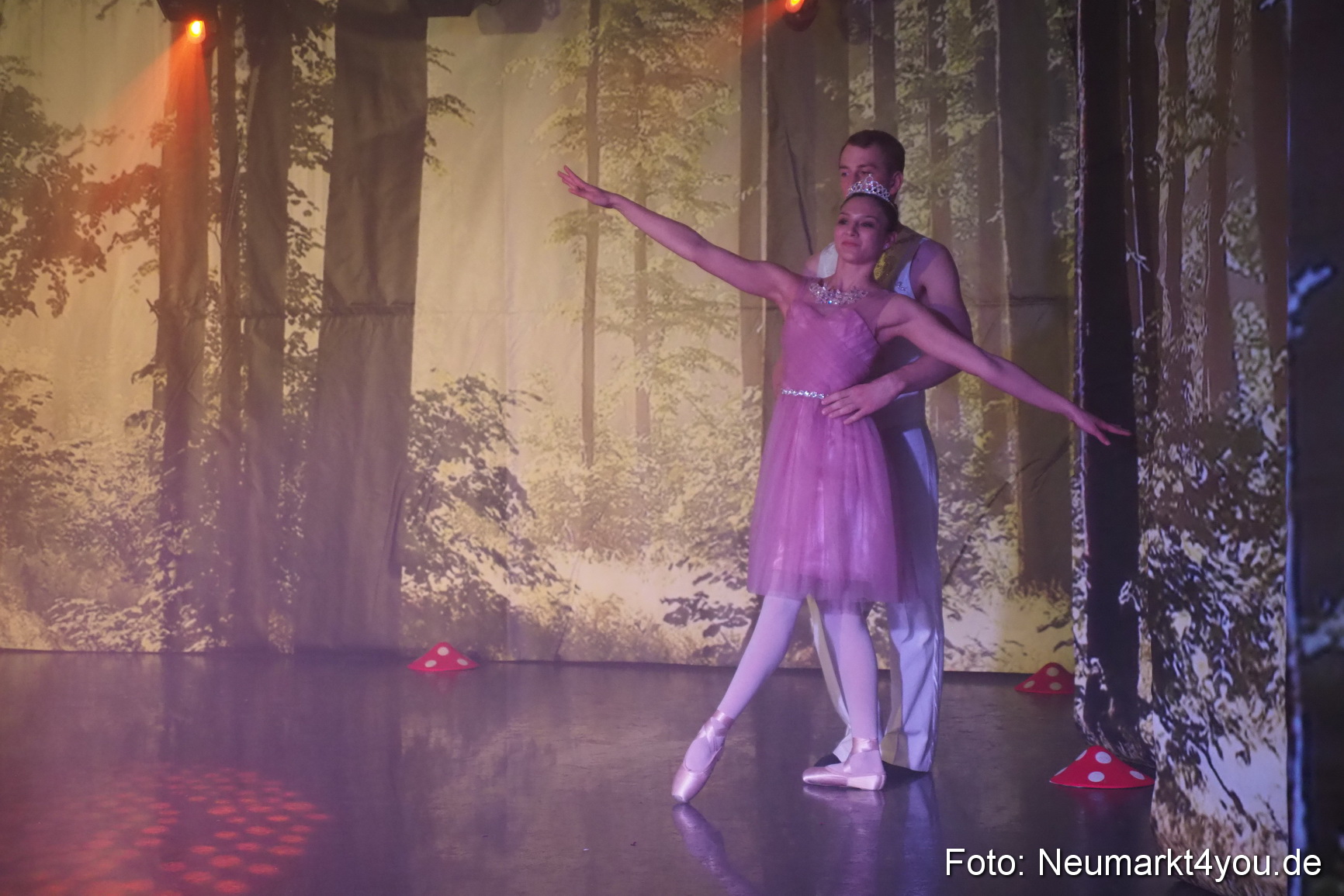 Haensel und Gretel Artico 180317 0061