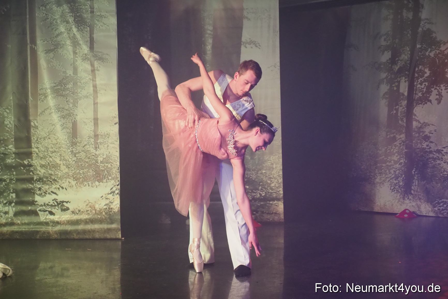 Haensel und Gretel Artico 180317 0062