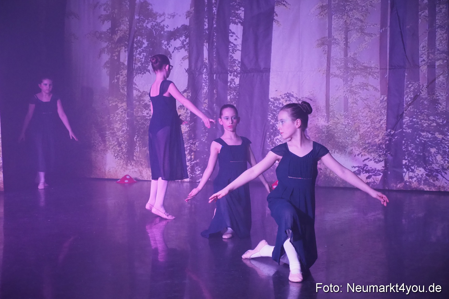 Haensel und Gretel Artico 180317 0071