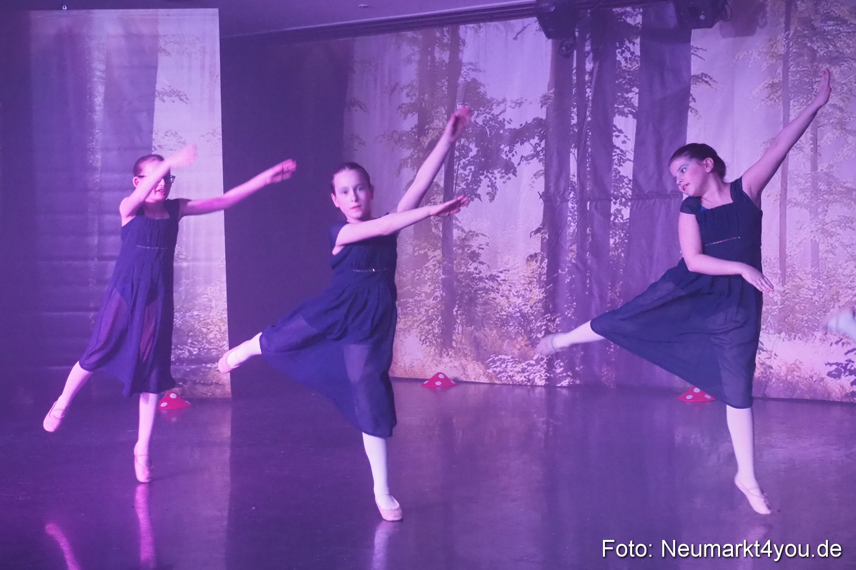 Haensel und Gretel Artico 180317 0074