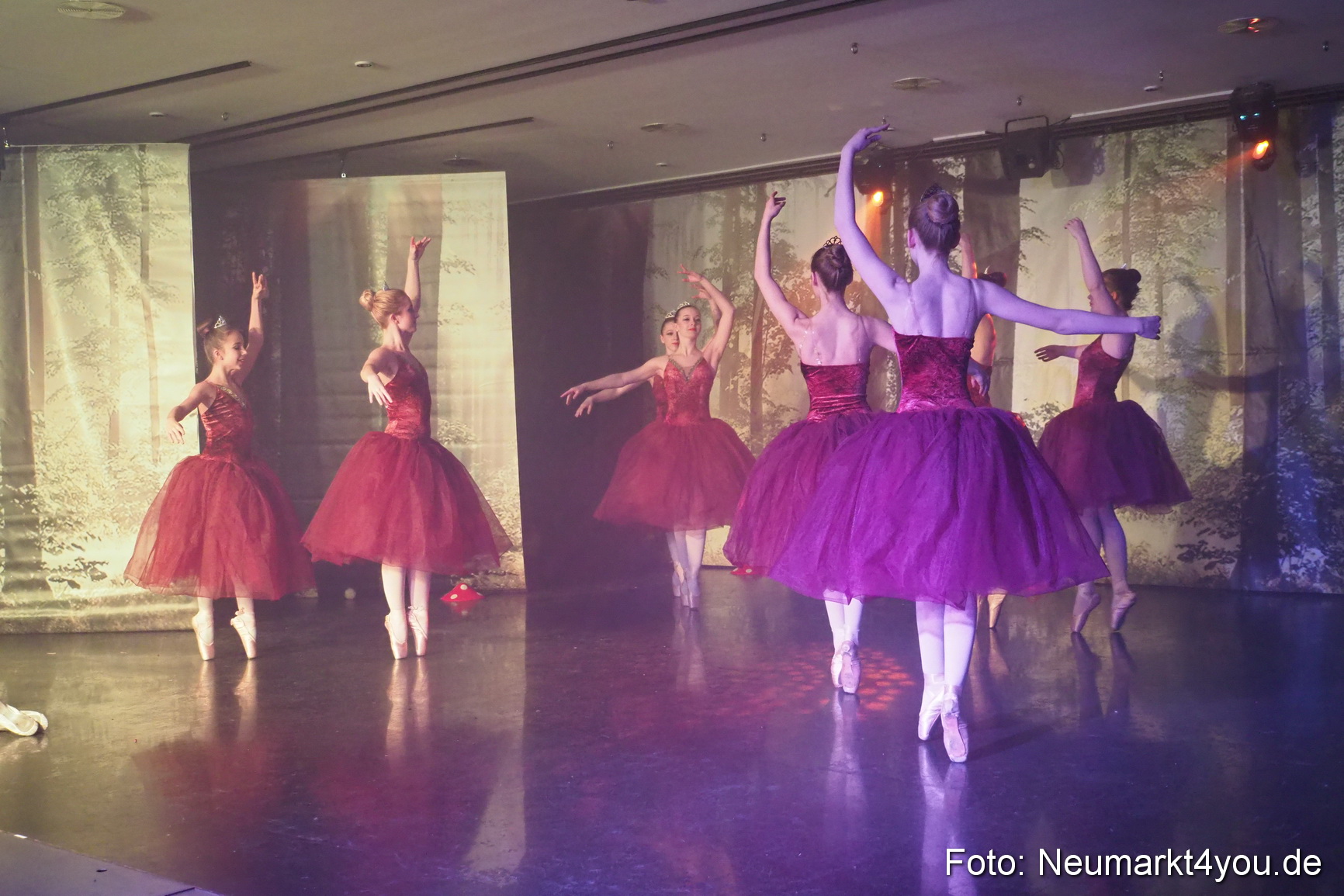 Haensel und Gretel Artico 180317 0077