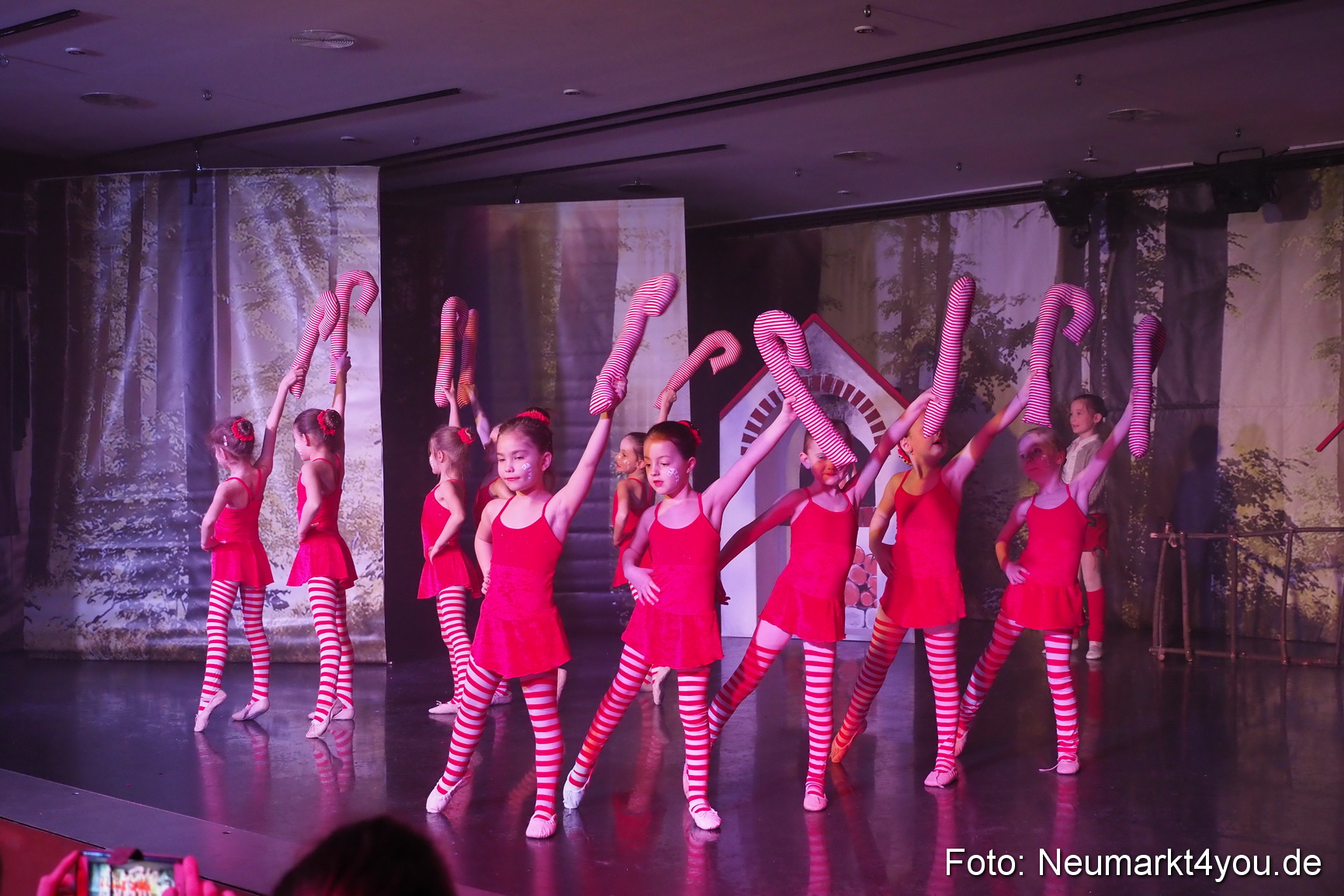 Haensel und Gretel Artico 180317 0106