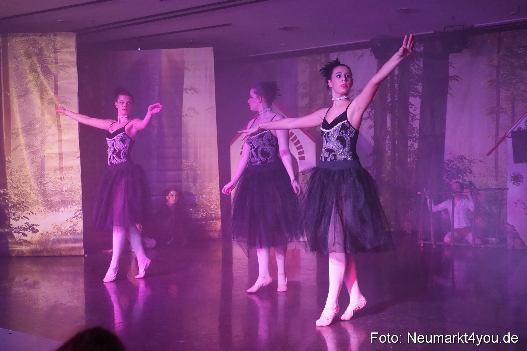 Haensel und Gretel Artico 180317 0170