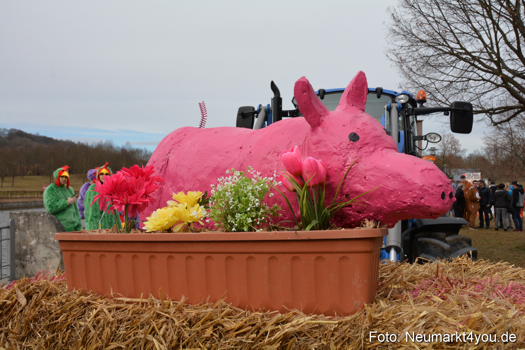 Faschingszug Berching 2017 260217 0009