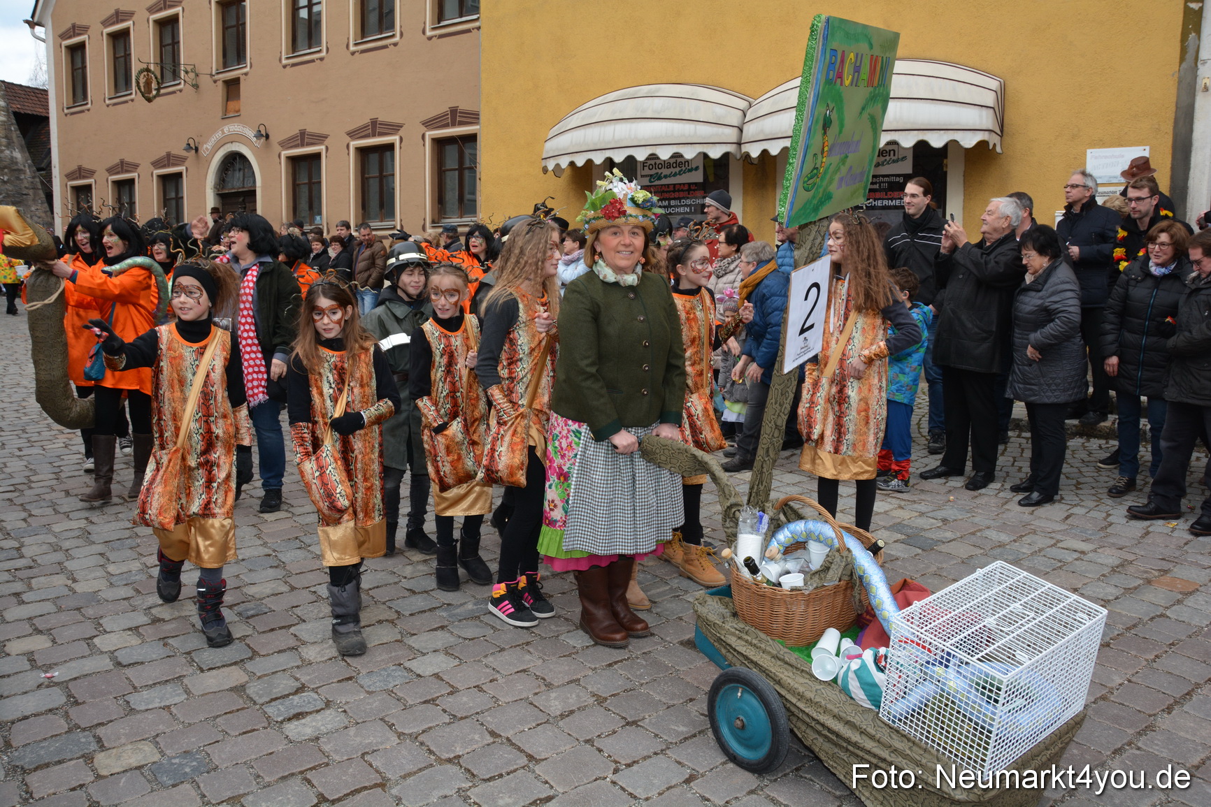 Faschingszug Berching 2017 260217 0038