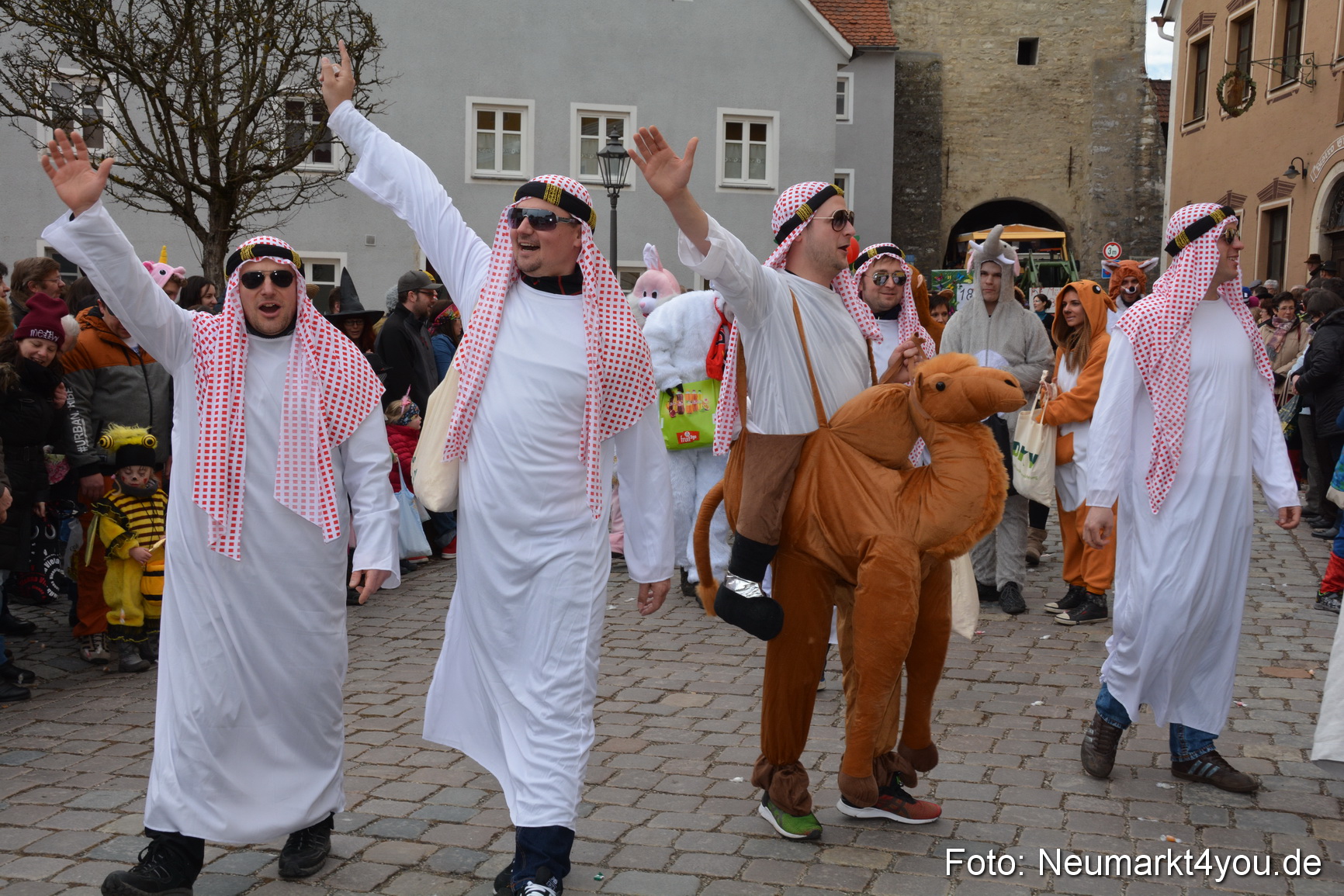 Faschingszug Berching 2017 260217 0159