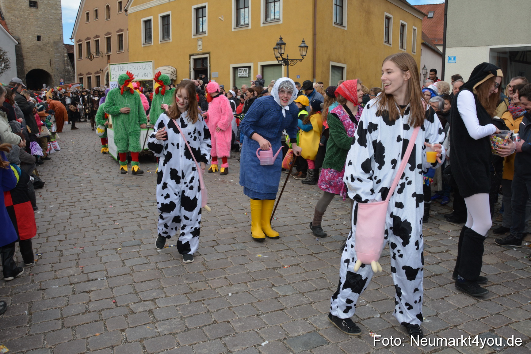 Faschingszug Berching 2017 260217 0309