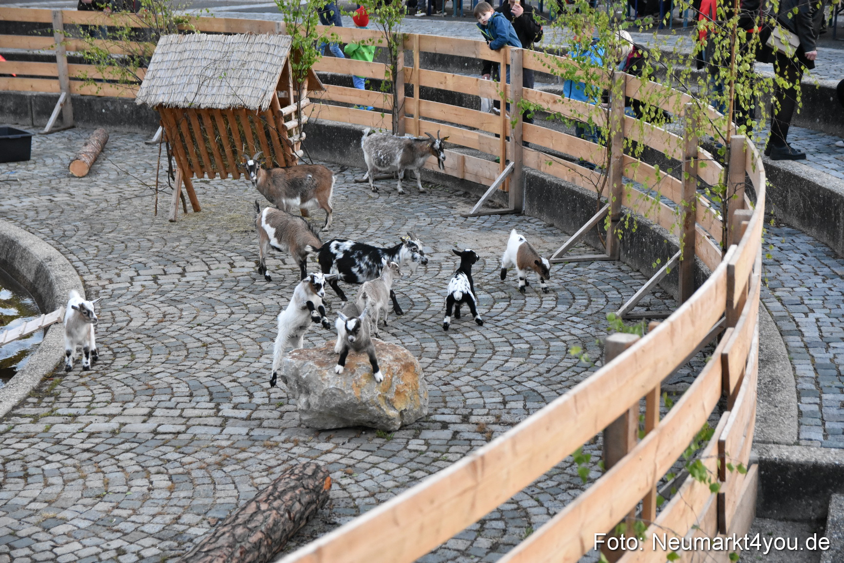 Fruehlingsfest Neumarkt 2017 0050