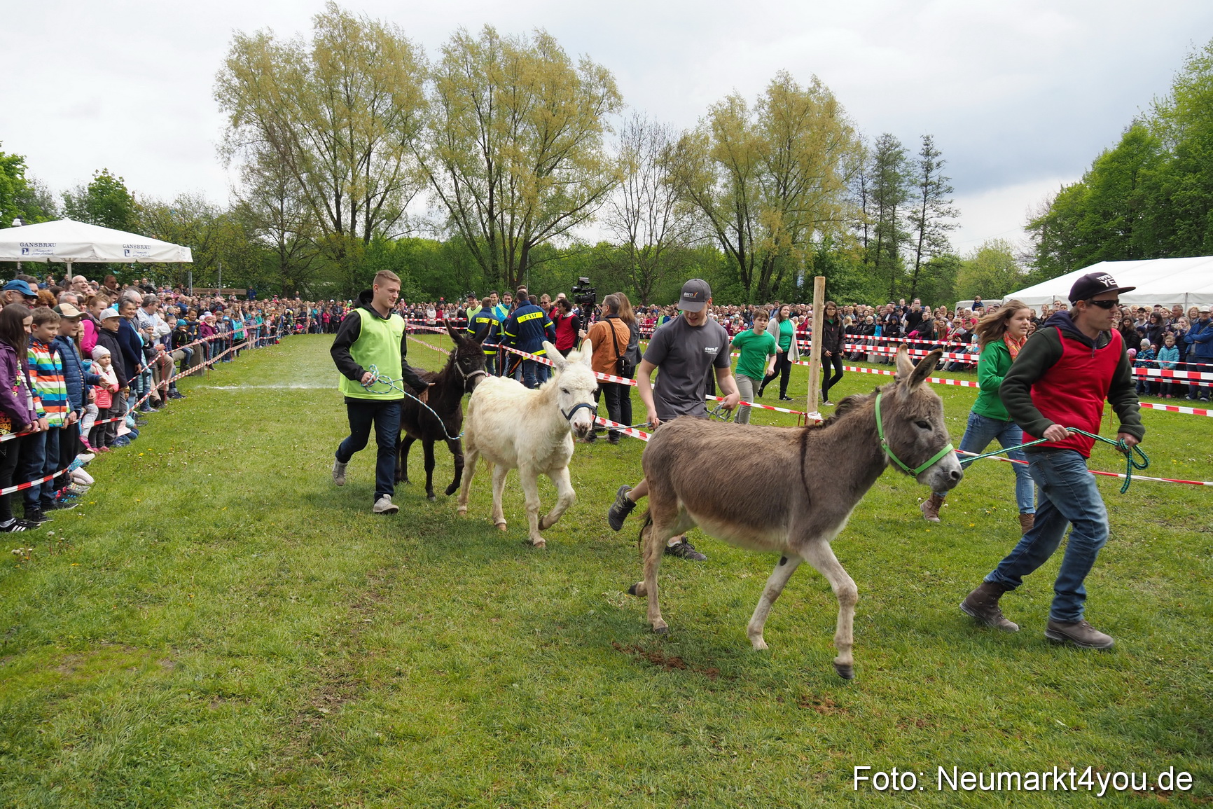 Eselrennen Fruehlingsfest 2017 0006
