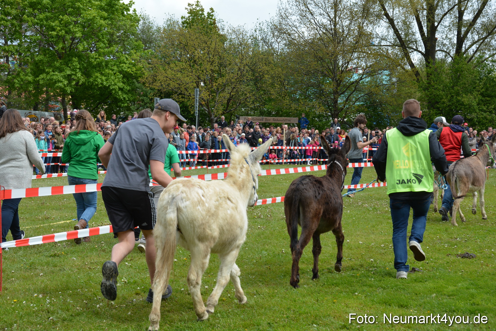 Eselrennen Fruehlingsfest 2017 0009