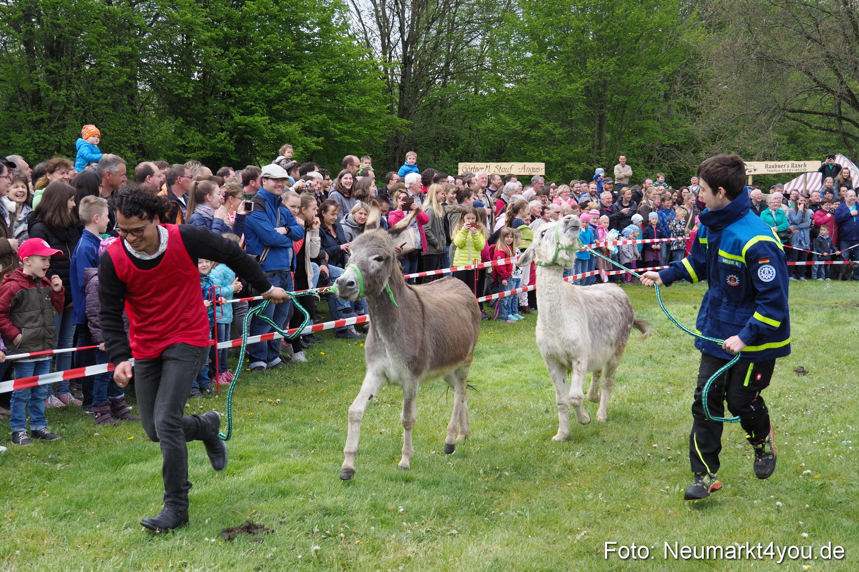 Eselrennen Fruehlingsfest 2017 0020