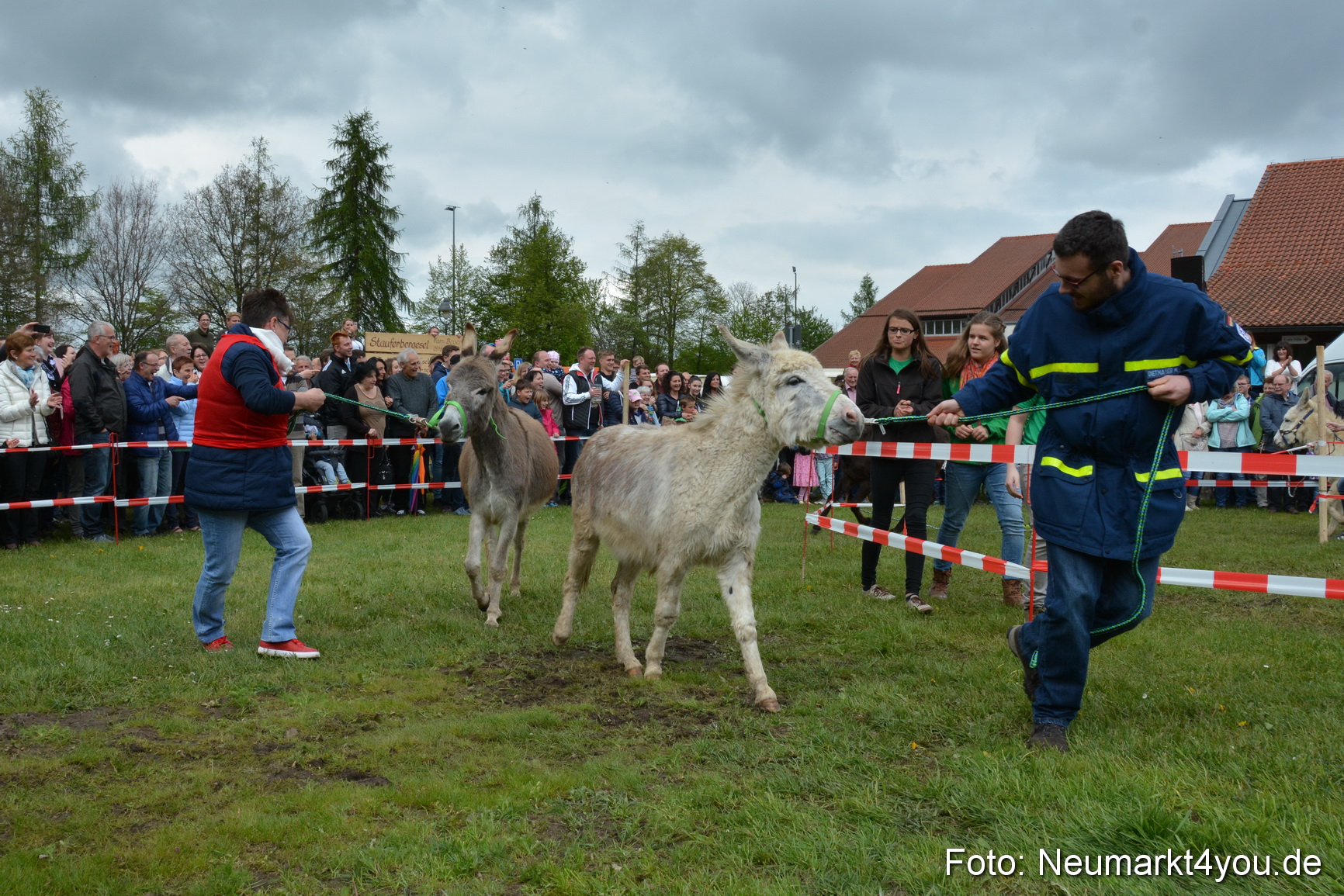 Eselrennen Fruehlingsfest 2017 0030