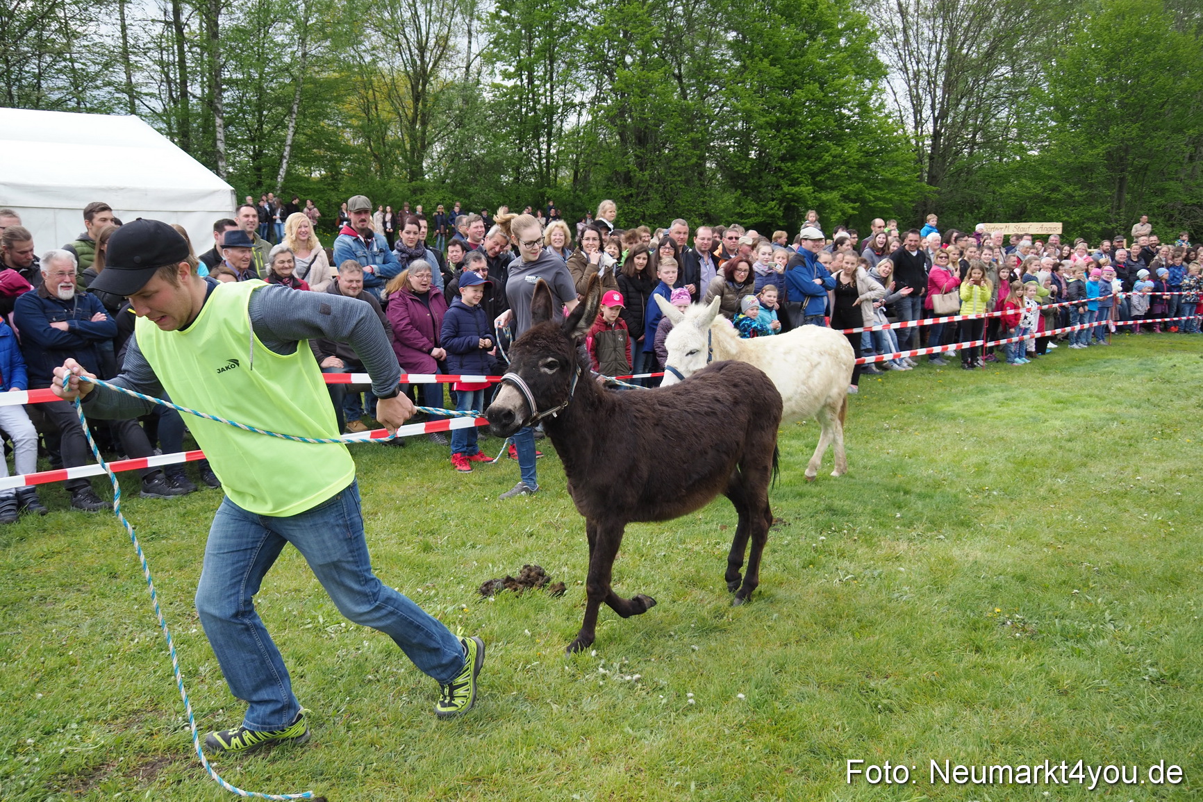 Eselrennen Fruehlingsfest 2017 0034