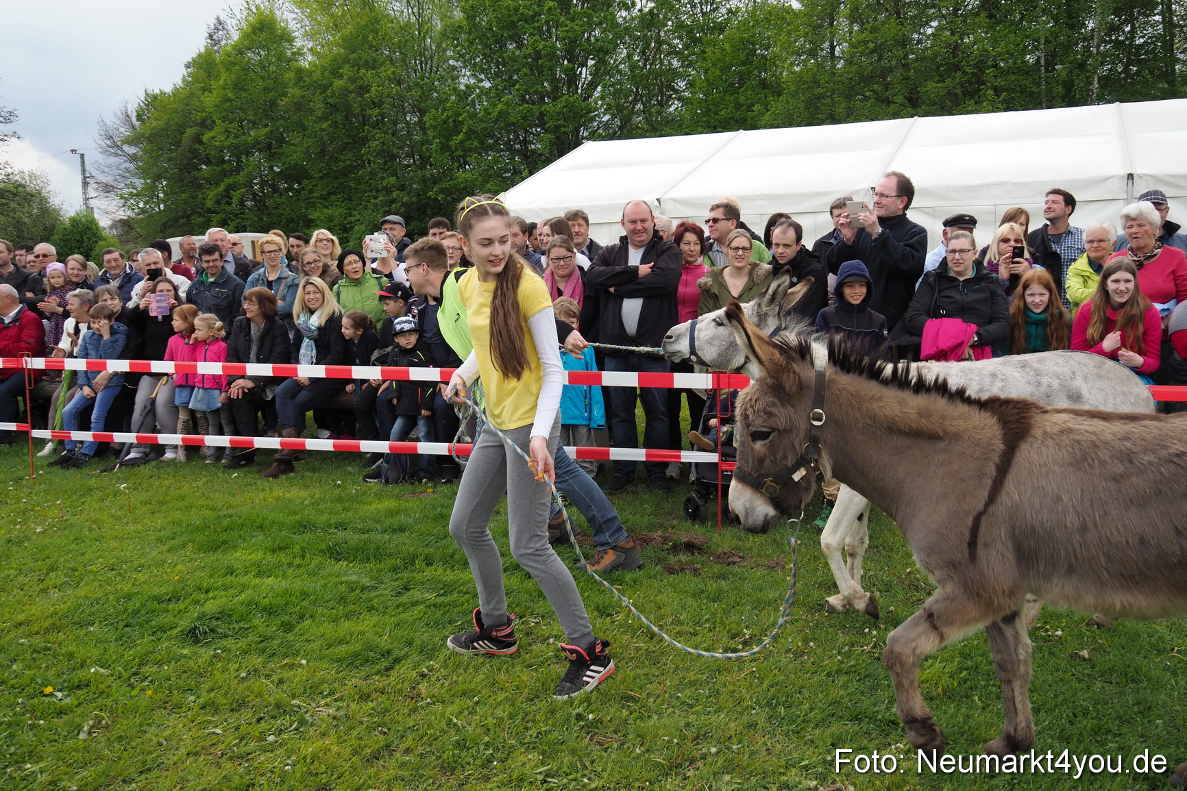 Eselrennen Fruehlingsfest 2017 0045