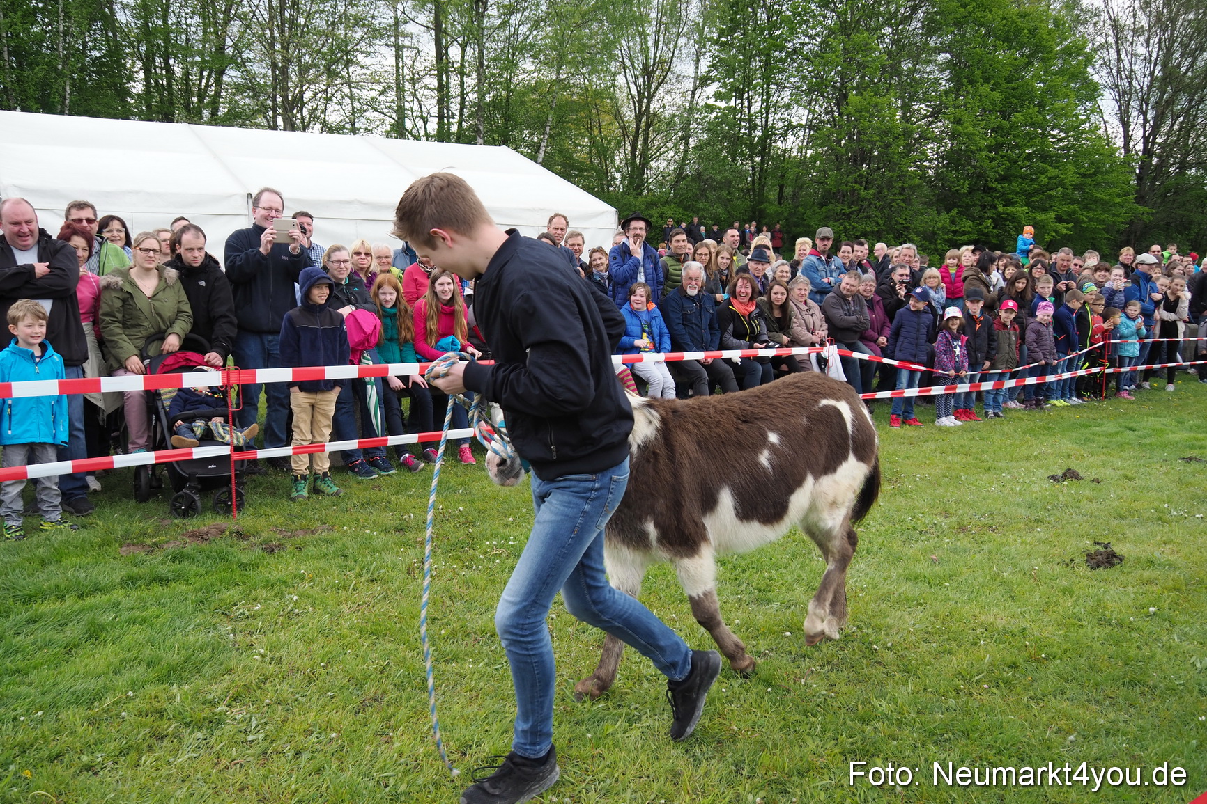 Eselrennen Fruehlingsfest 2017 0058
