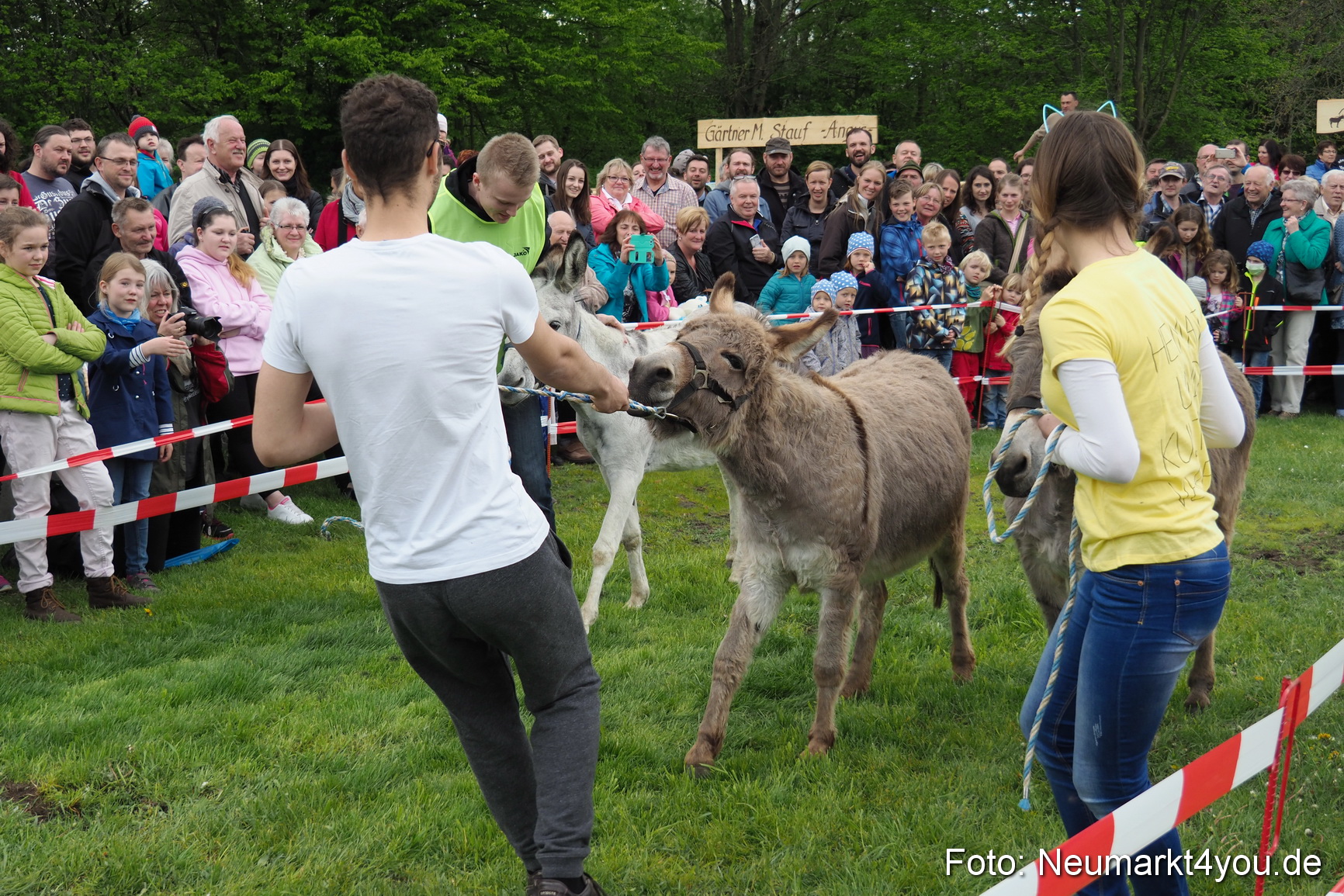 Eselrennen Fruehlingsfest 2017 0065