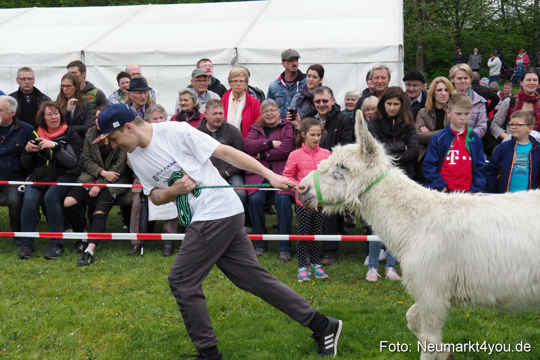 Eselrennen Fruehlingsfest 2017 0078