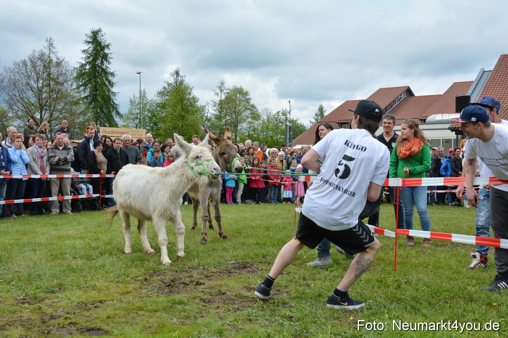 Eselrennen Fruehlingsfest 2017 0082