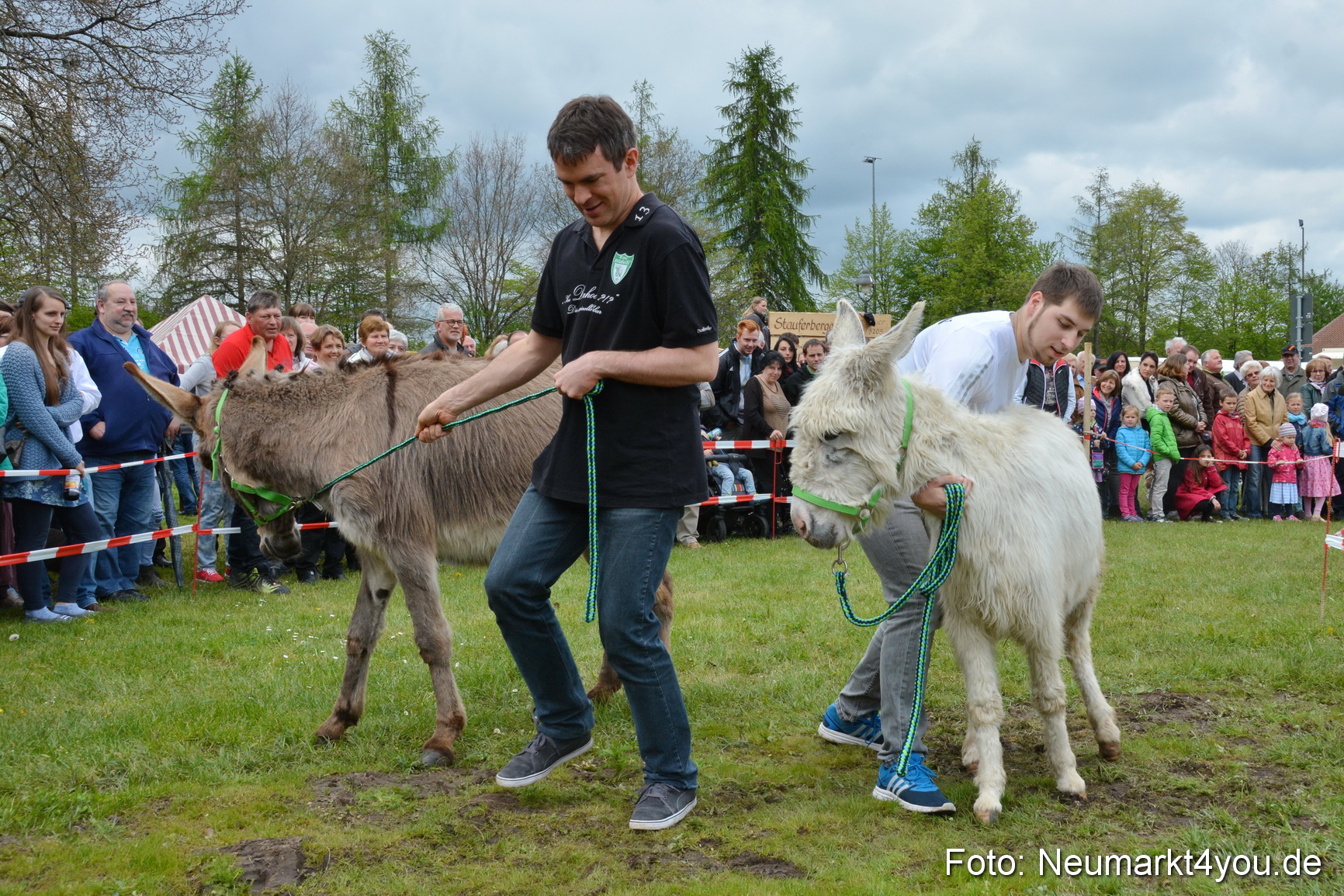 Eselrennen Fruehlingsfest 2017 0097