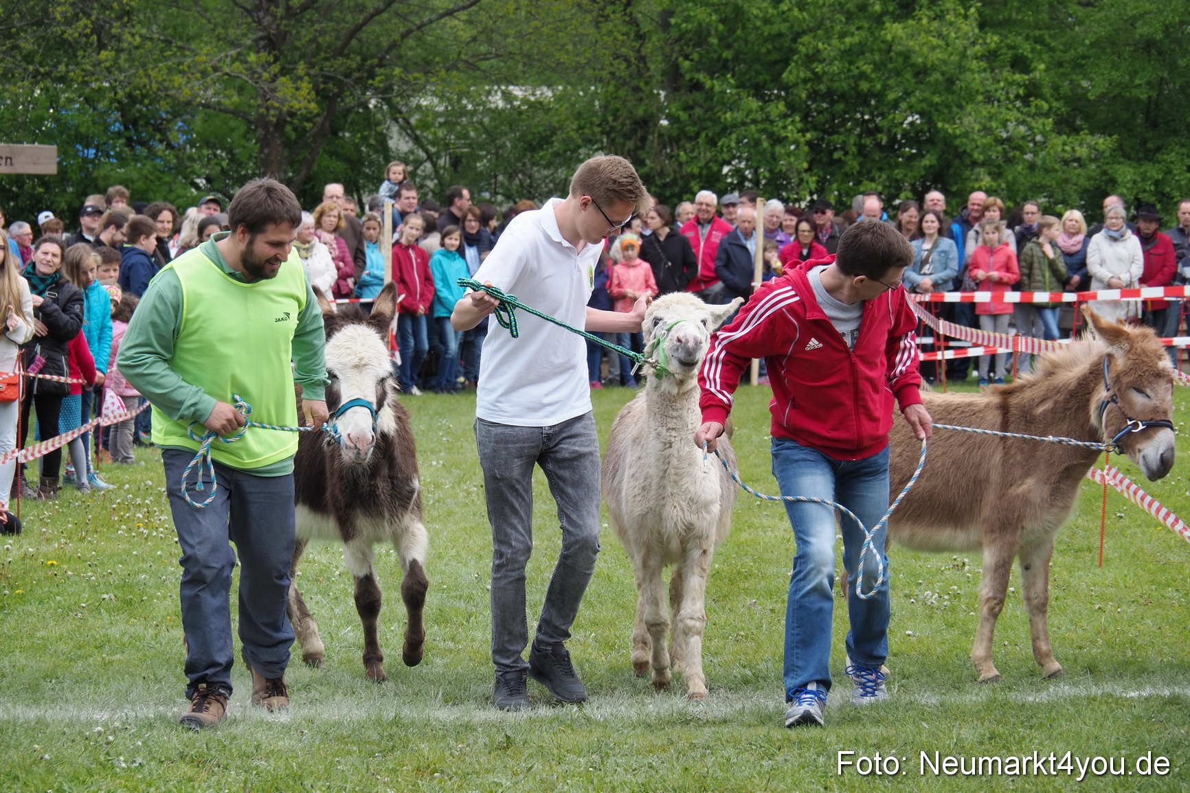 Eselrennen Fruehlingsfest 2017 0101