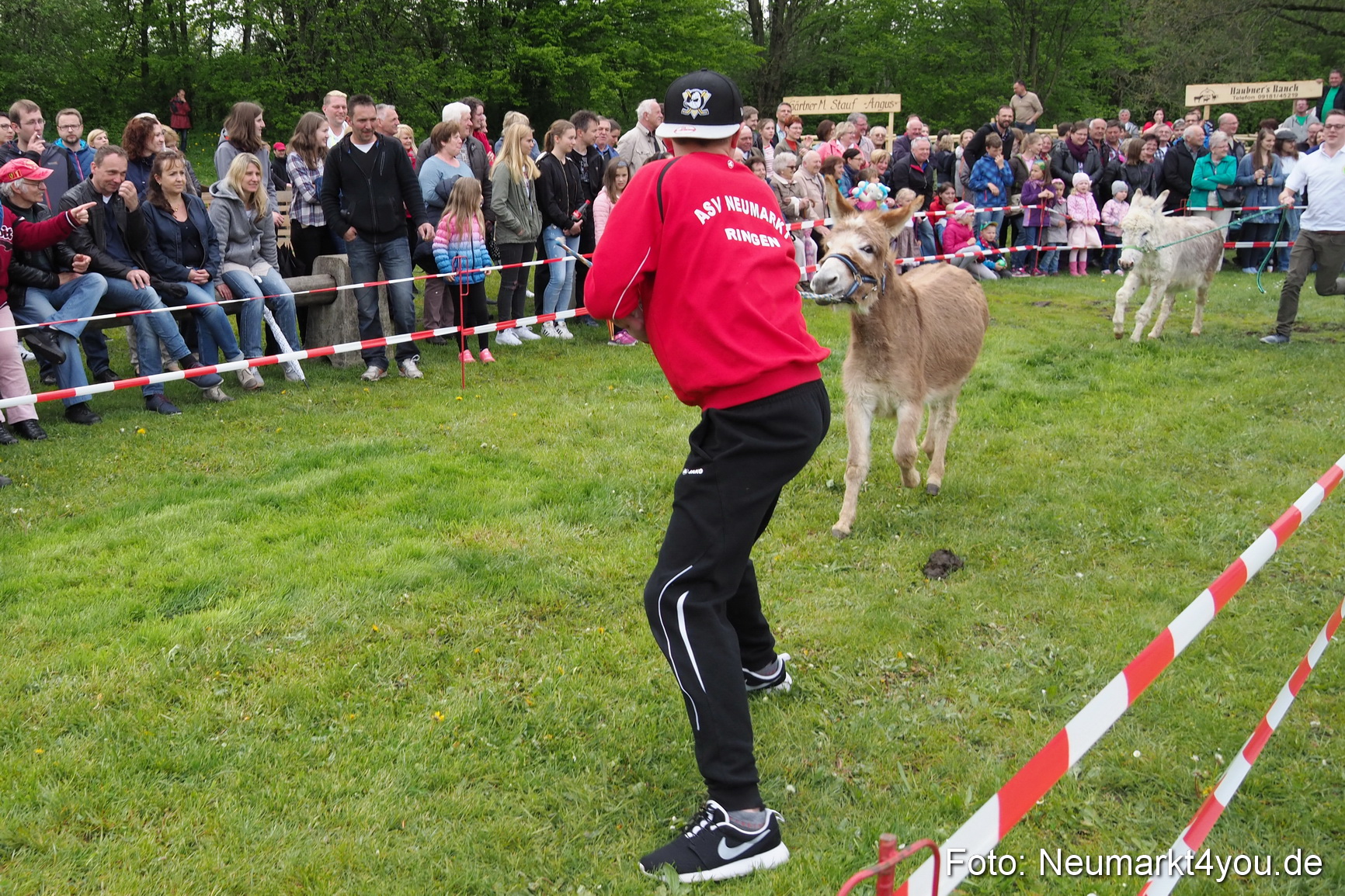 Eselrennen Fruehlingsfest 2017 0110
