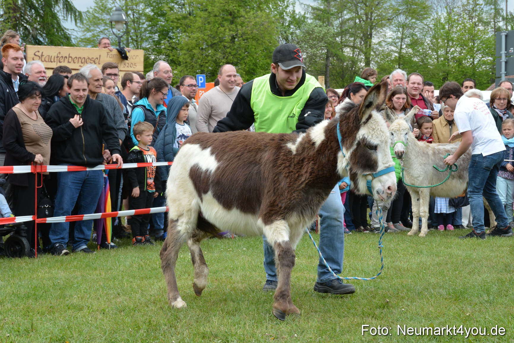 Eselrennen Fruehlingsfest 2017 0115