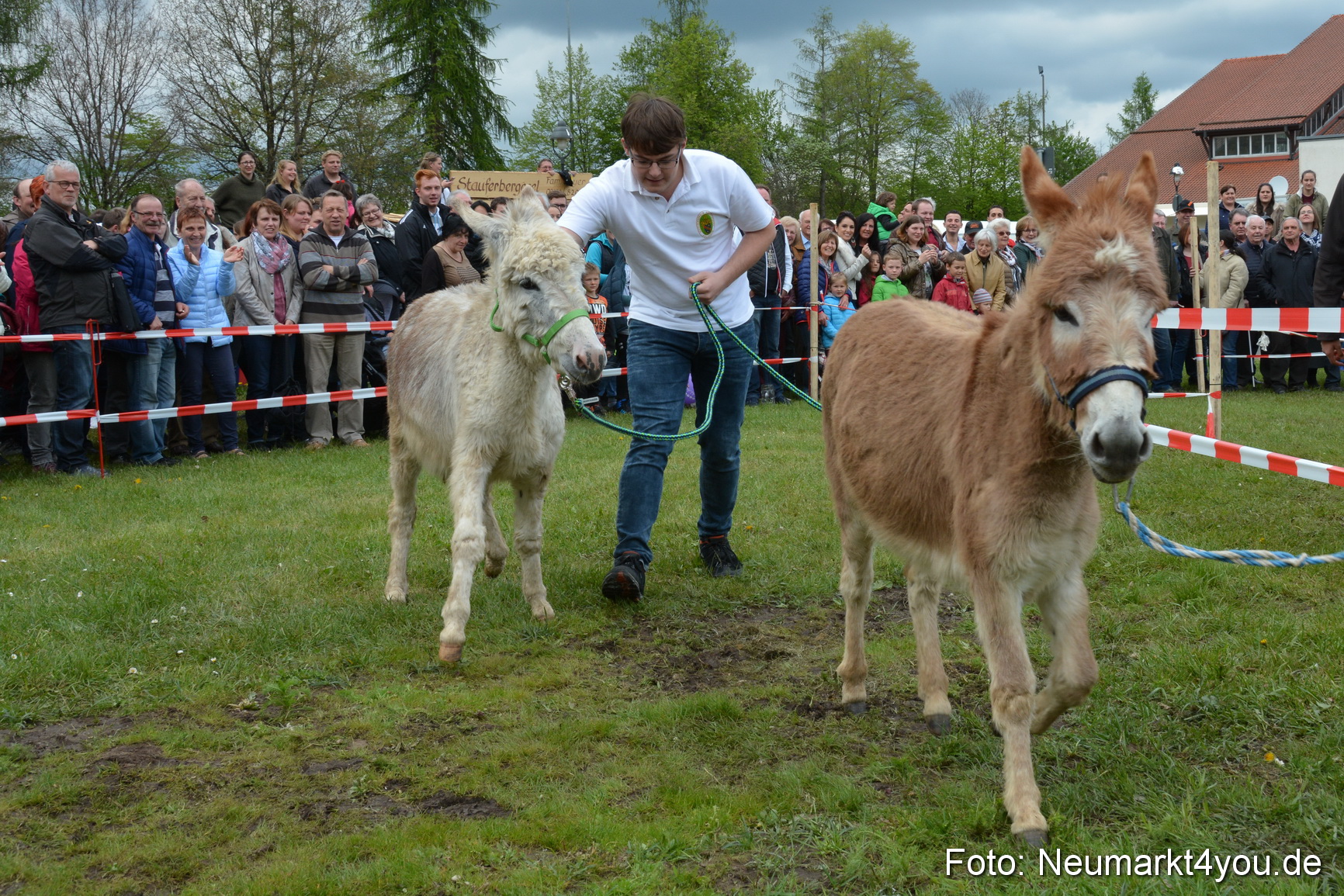 Eselrennen Fruehlingsfest 2017 0117