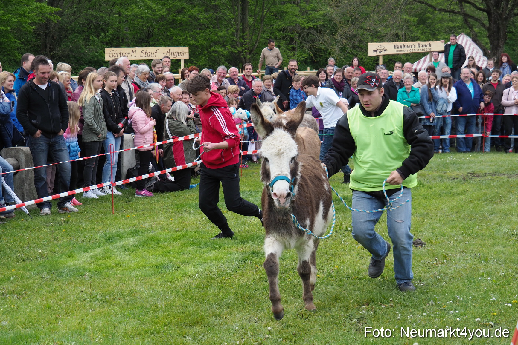 Eselrennen Fruehlingsfest 2017 0118