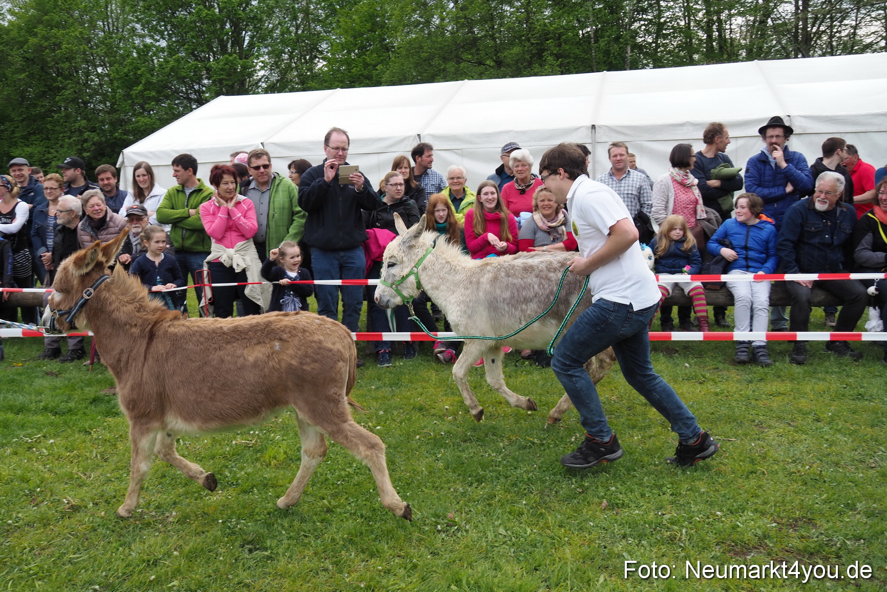Eselrennen Fruehlingsfest 2017 0120