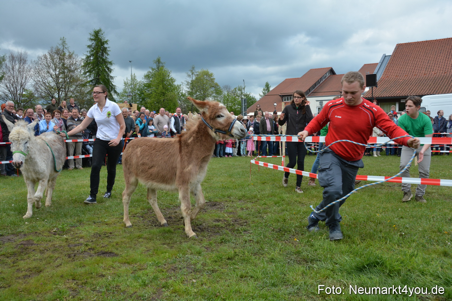 Eselrennen Fruehlingsfest 2017 0124
