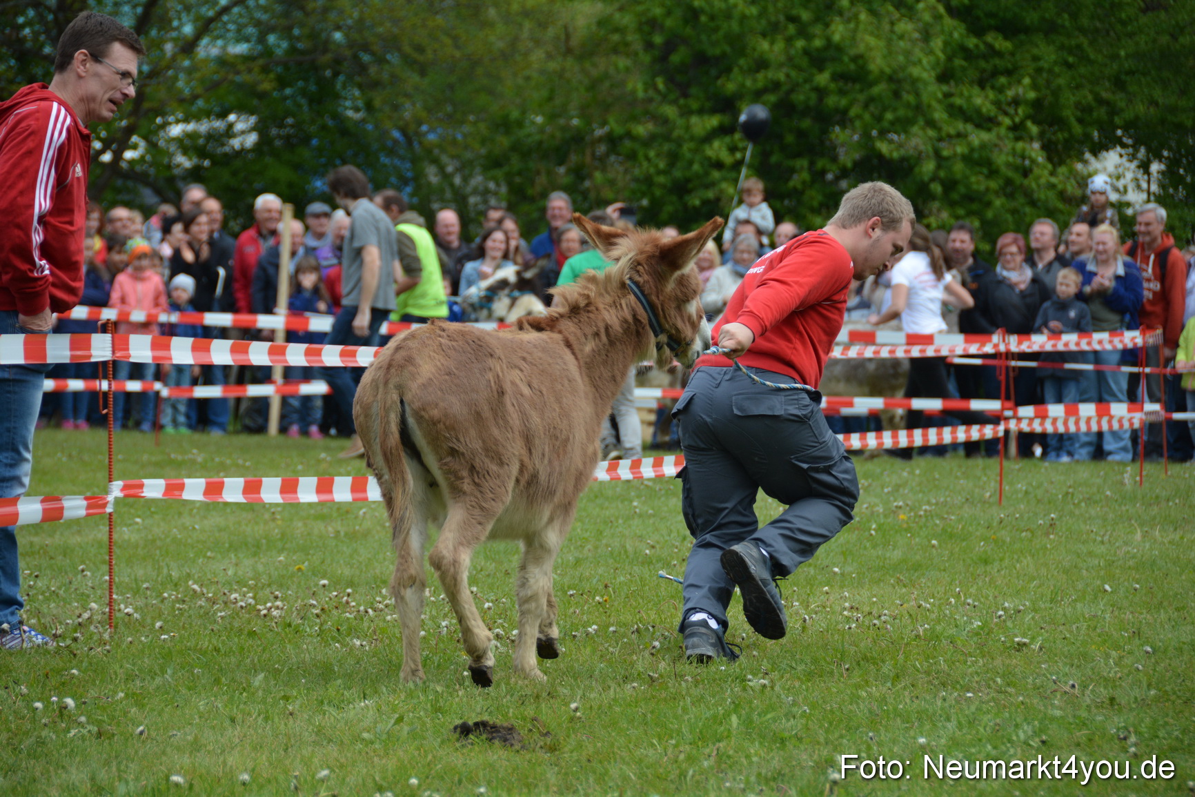 Eselrennen Fruehlingsfest 2017 0125