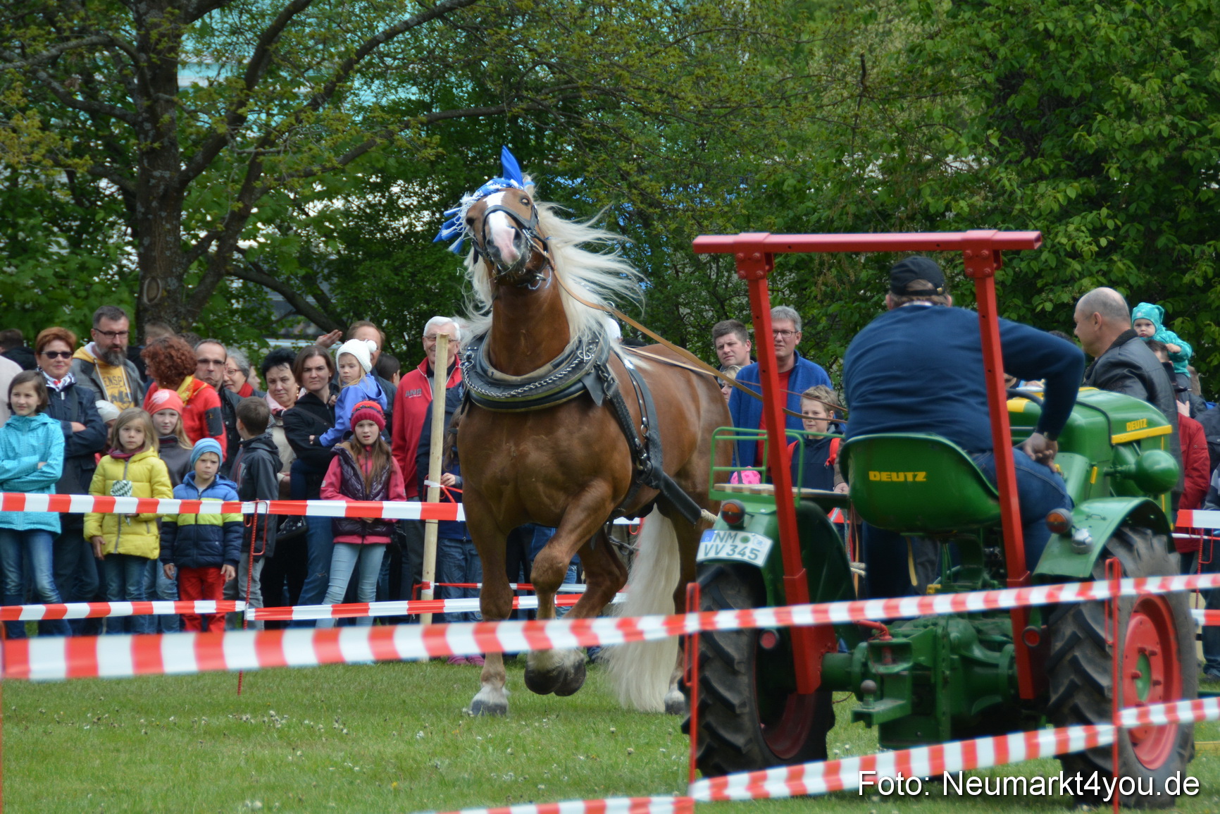 Eselrennen Fruehlingsfest 2017 0133