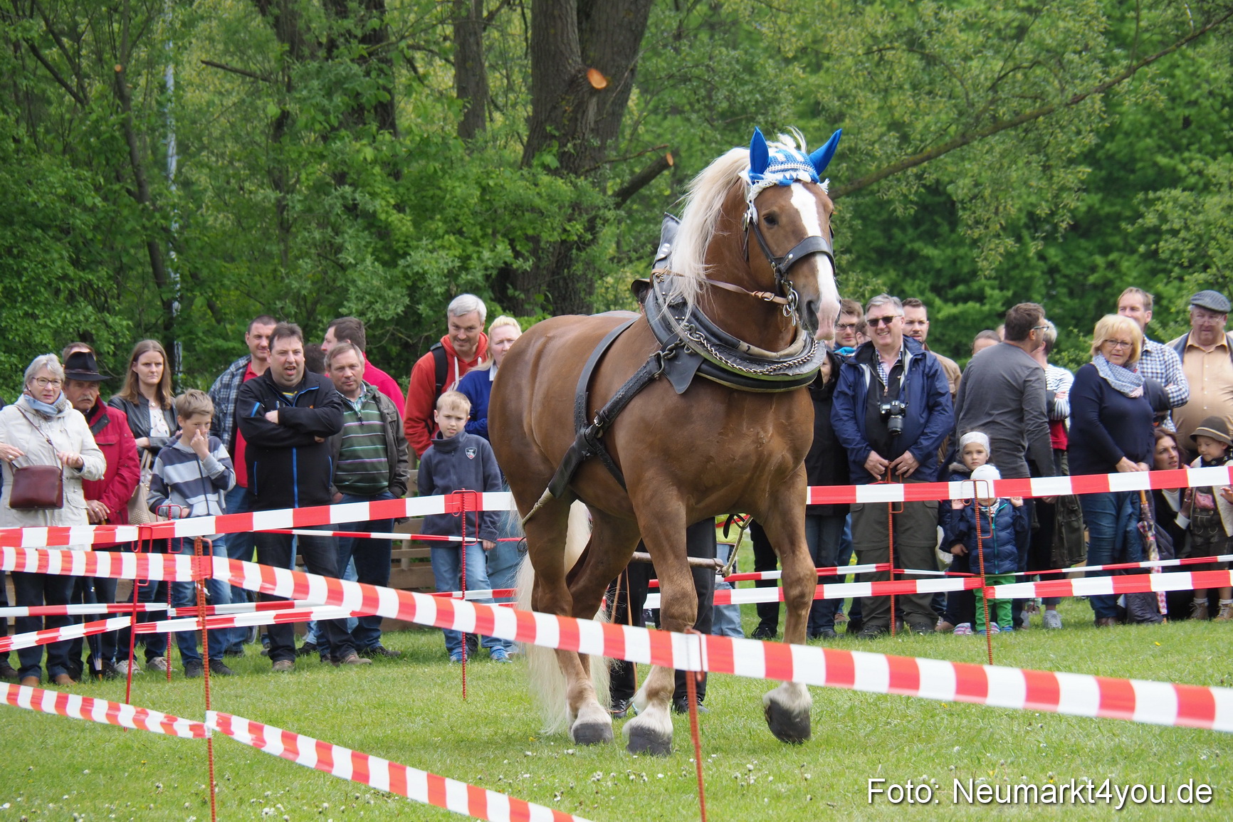 Eselrennen Fruehlingsfest 2017 0134