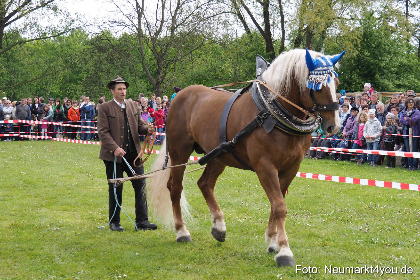 Eselrennen Fruehlingsfest 2017 0136